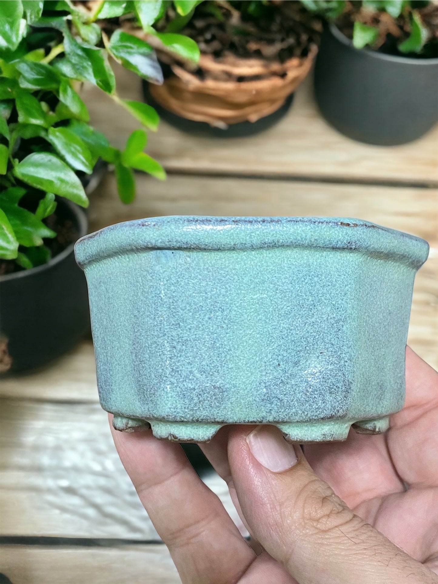Glazed Hexagon Bonsai Pot from Japan (3-1/4" wide)