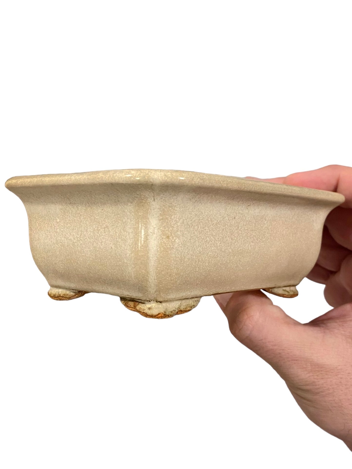 Hattori - Cream Glazed Rectangle Bonsai Pot