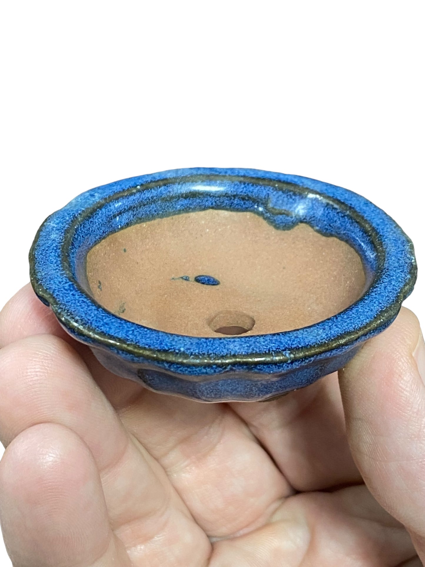 Mame / Tiny Bonsai or Accent Pot from Japan (1" wide)