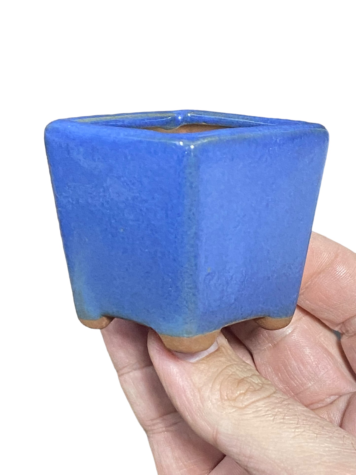 Mame / Tiny Bonsai or Accent Pot (1" wide)