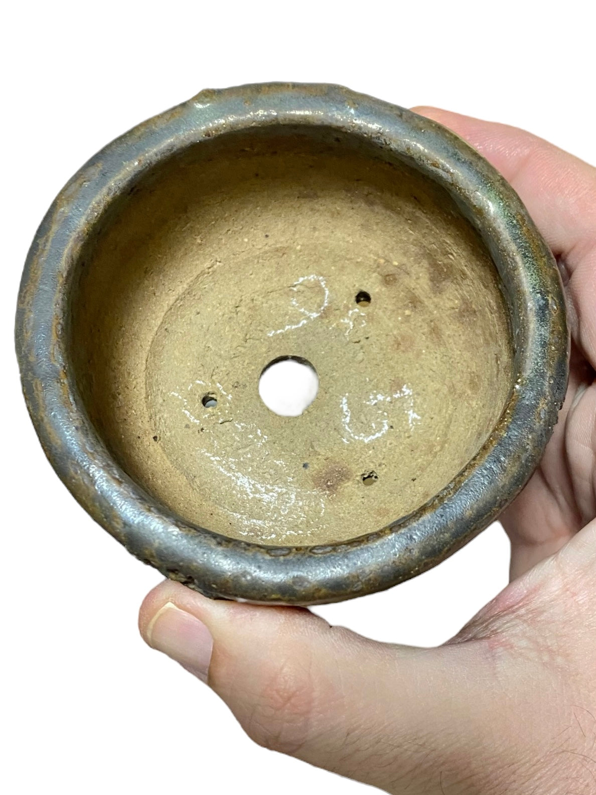 Shuho - Worm-eaten Bowl Style Bonsai or Accent Pot