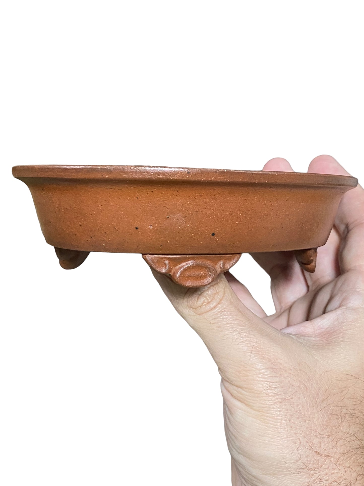 Ikko - Exhibition Quality Unglazed Oval Bonsai Pot (6-1/2” wide)