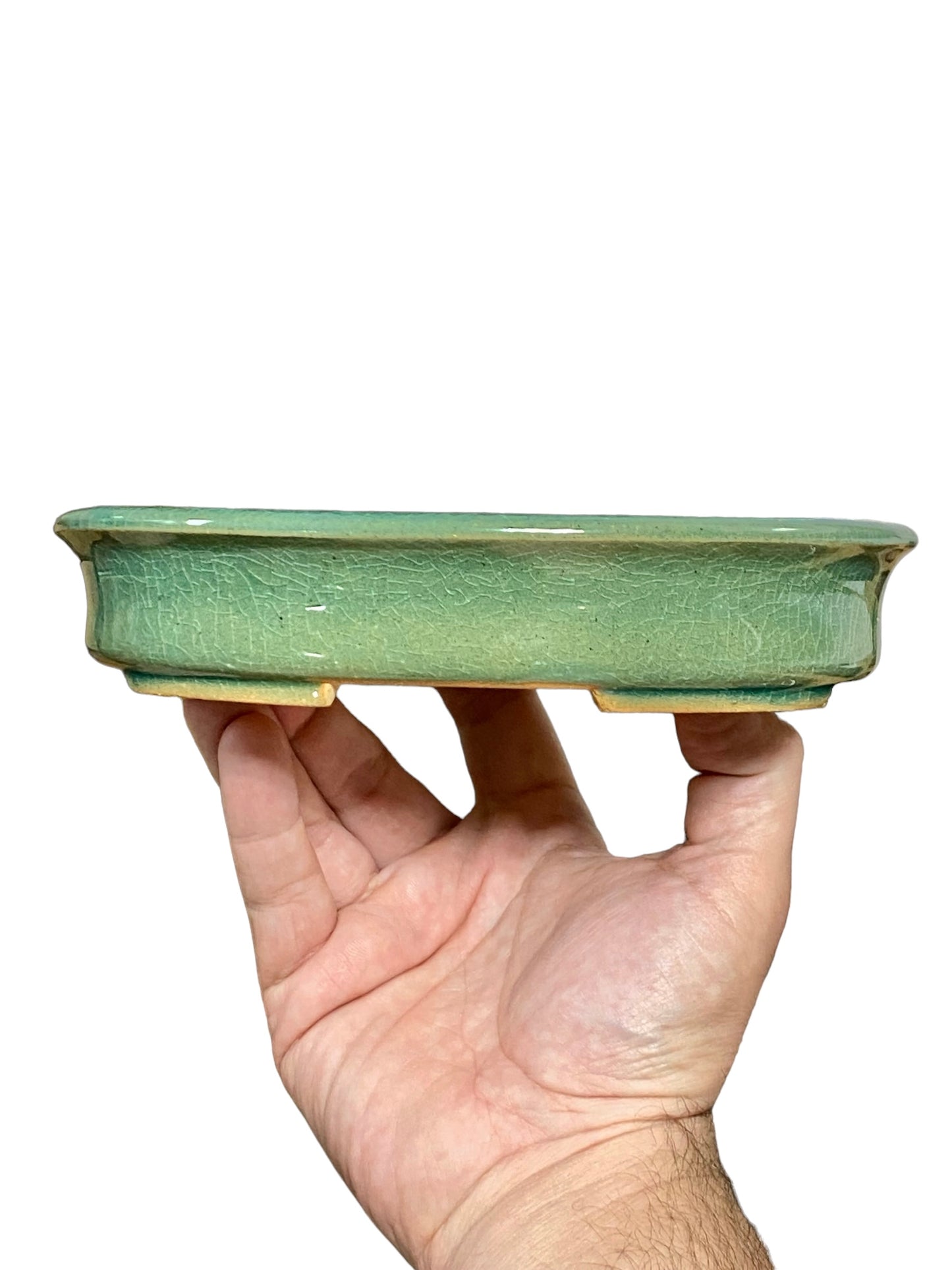 Shibakatsu - Stellar Crackle Glazed Oval Style Bonsai Pot (7-11/16" wide)