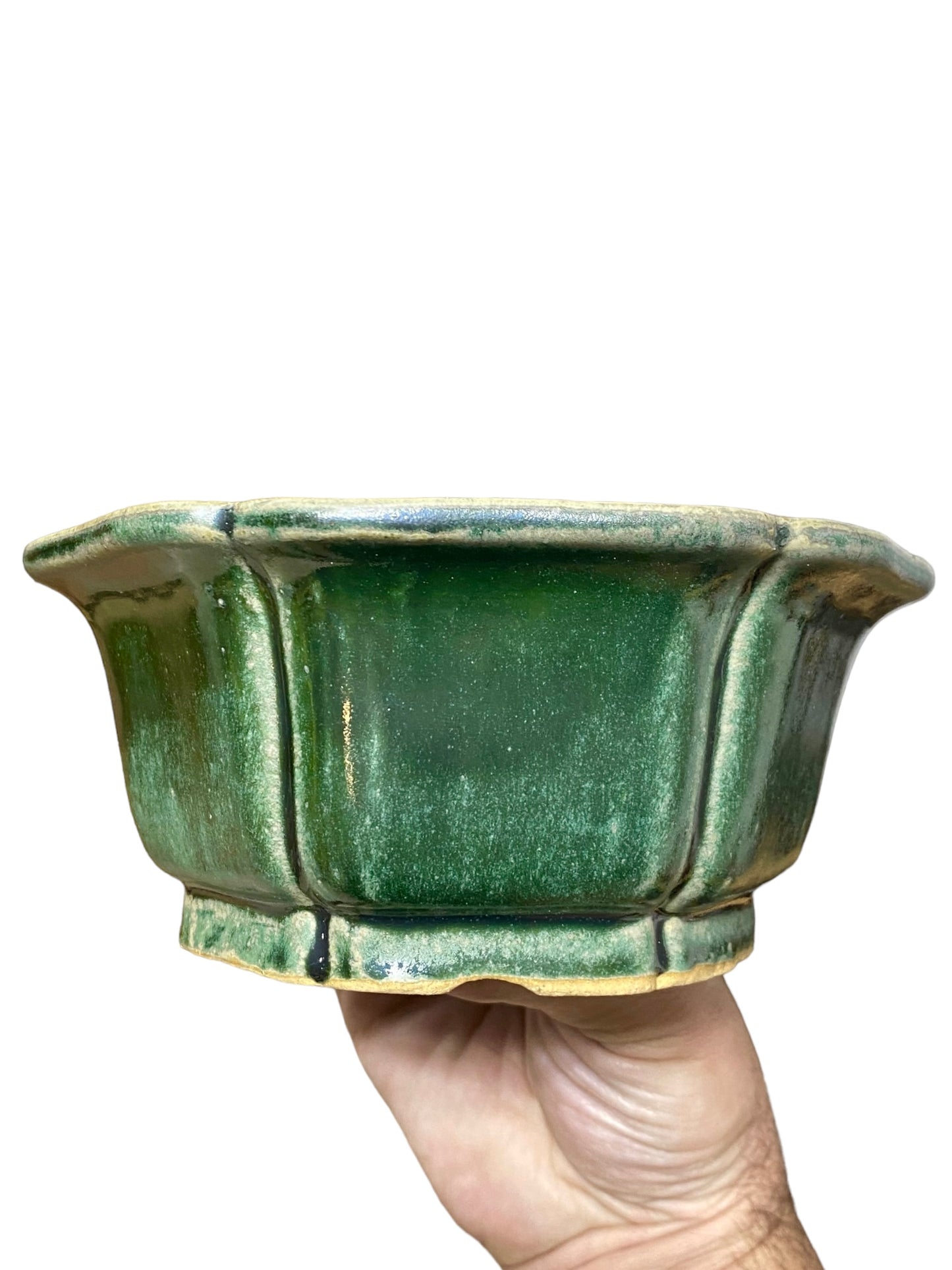 Shibakatsu - Green Glazed Traditional Flower Style Bonsai Pot (6-1/4" wide)