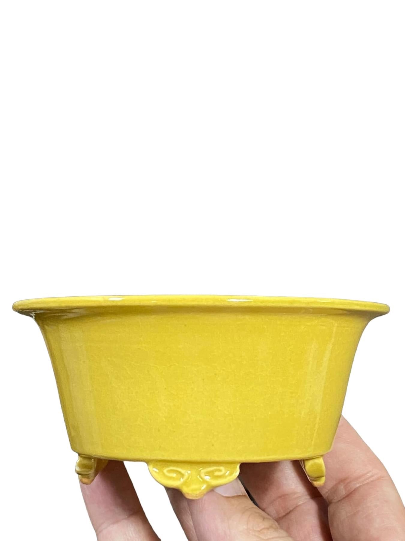 Kiyoshi Kiowai “Fuka” - Yellow Glazed Bonsai Pot (4-11/16” wide)
