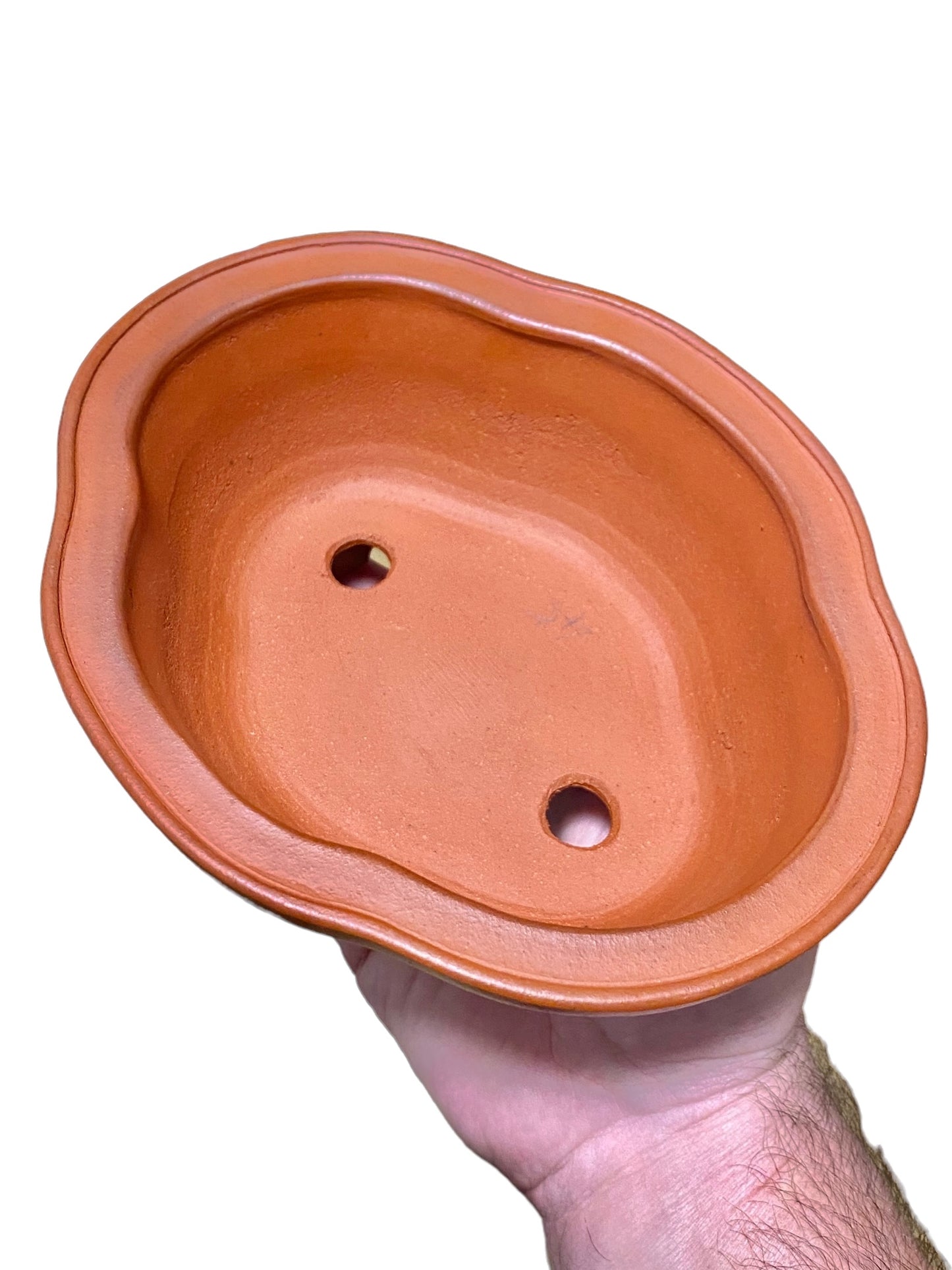 Ikko - Exhibition Quality Unglazed Mokko Style Bonsai Pot