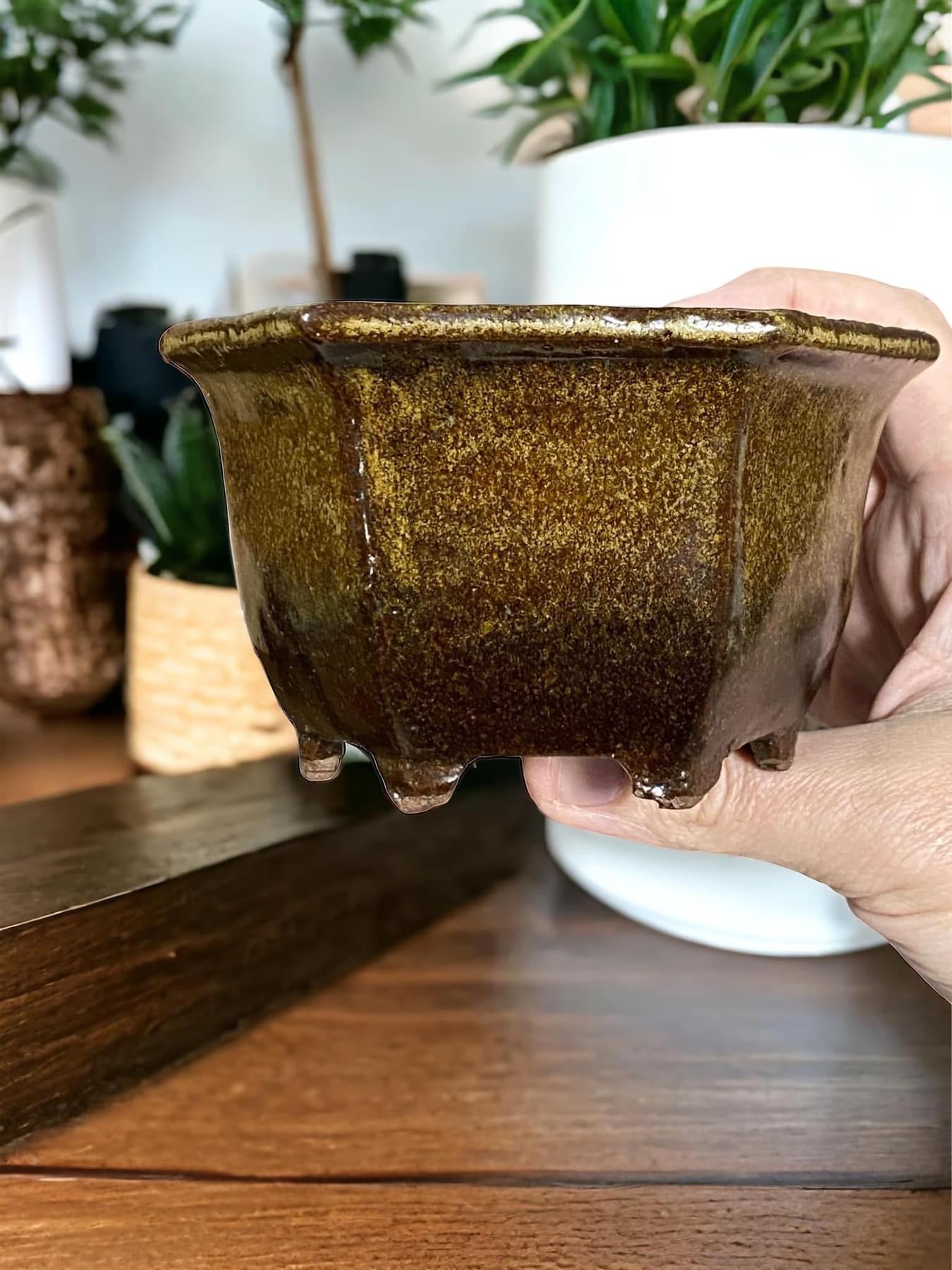 Shuho - Spectacular Glazed Hexagon Shaped Bonsai or Accent Pot (4-3/4" wide)