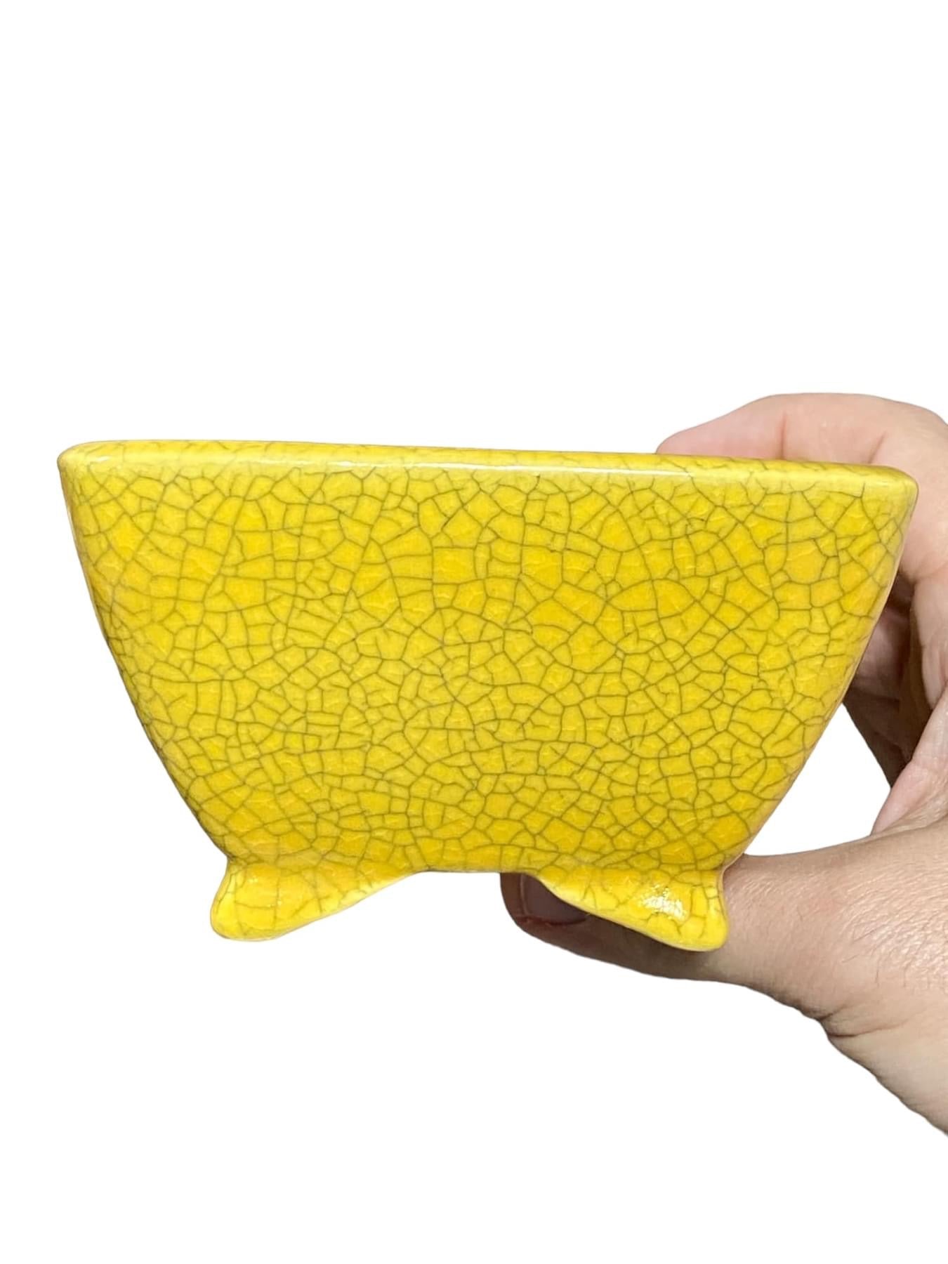 Koyo - Rare Yellow Crackle Glazed Bonsai Pot (5-1/4" wide)