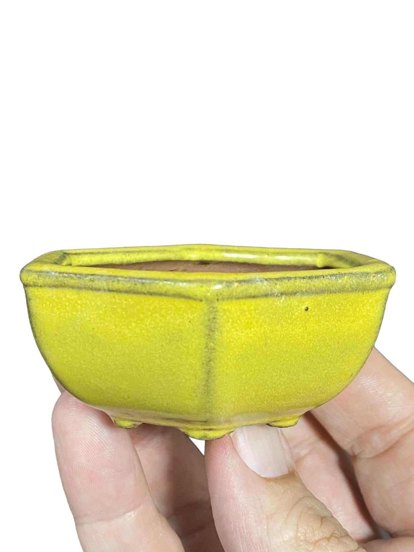 Japanese - Yellow Glazed Mame Bonsai Pot with Patina (2-3/4” wide)