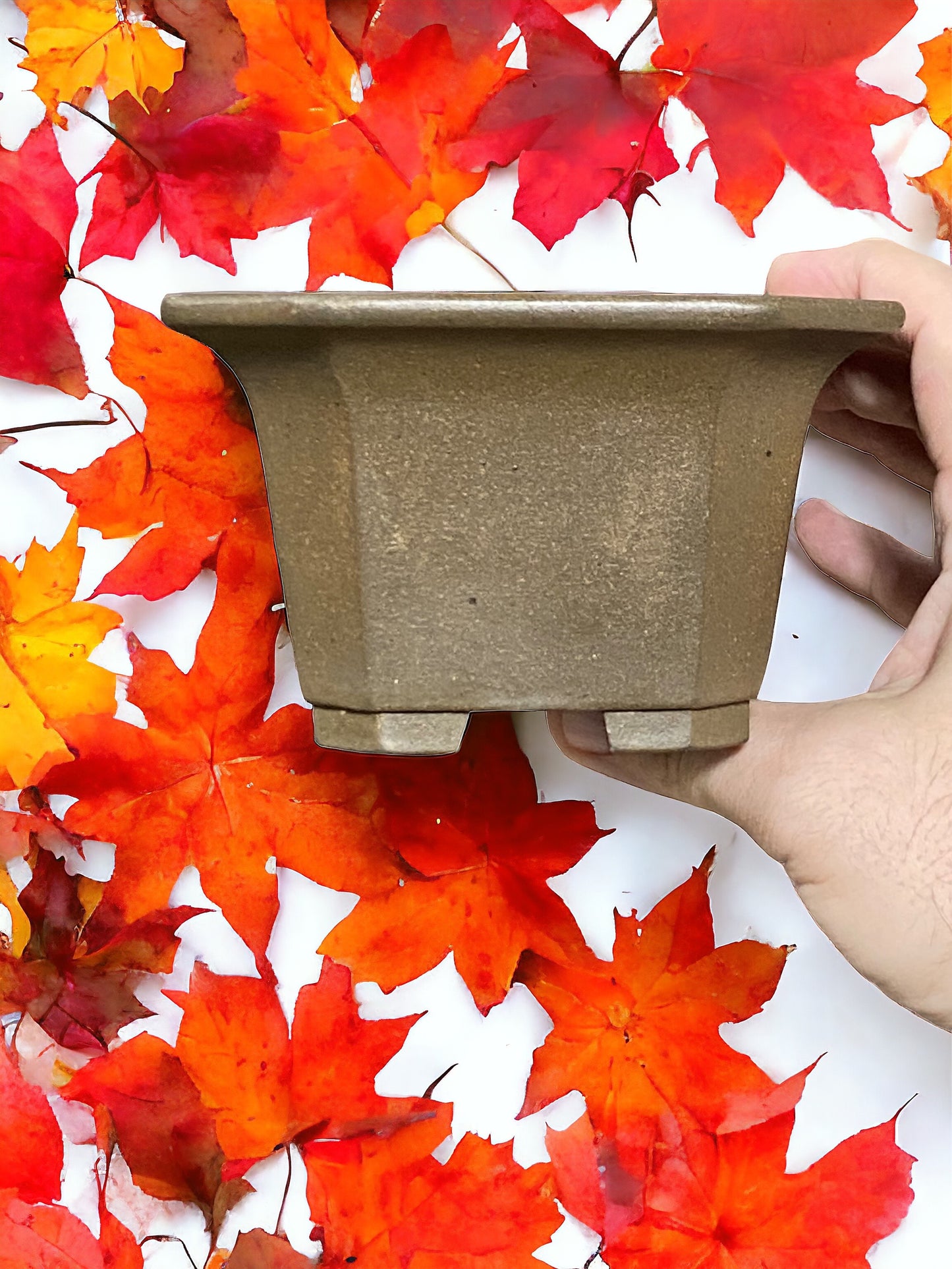 Yamaaki - 2nd Gen Unglazed Semi-Cascade Bonsai Pot (5-5/16" wide)