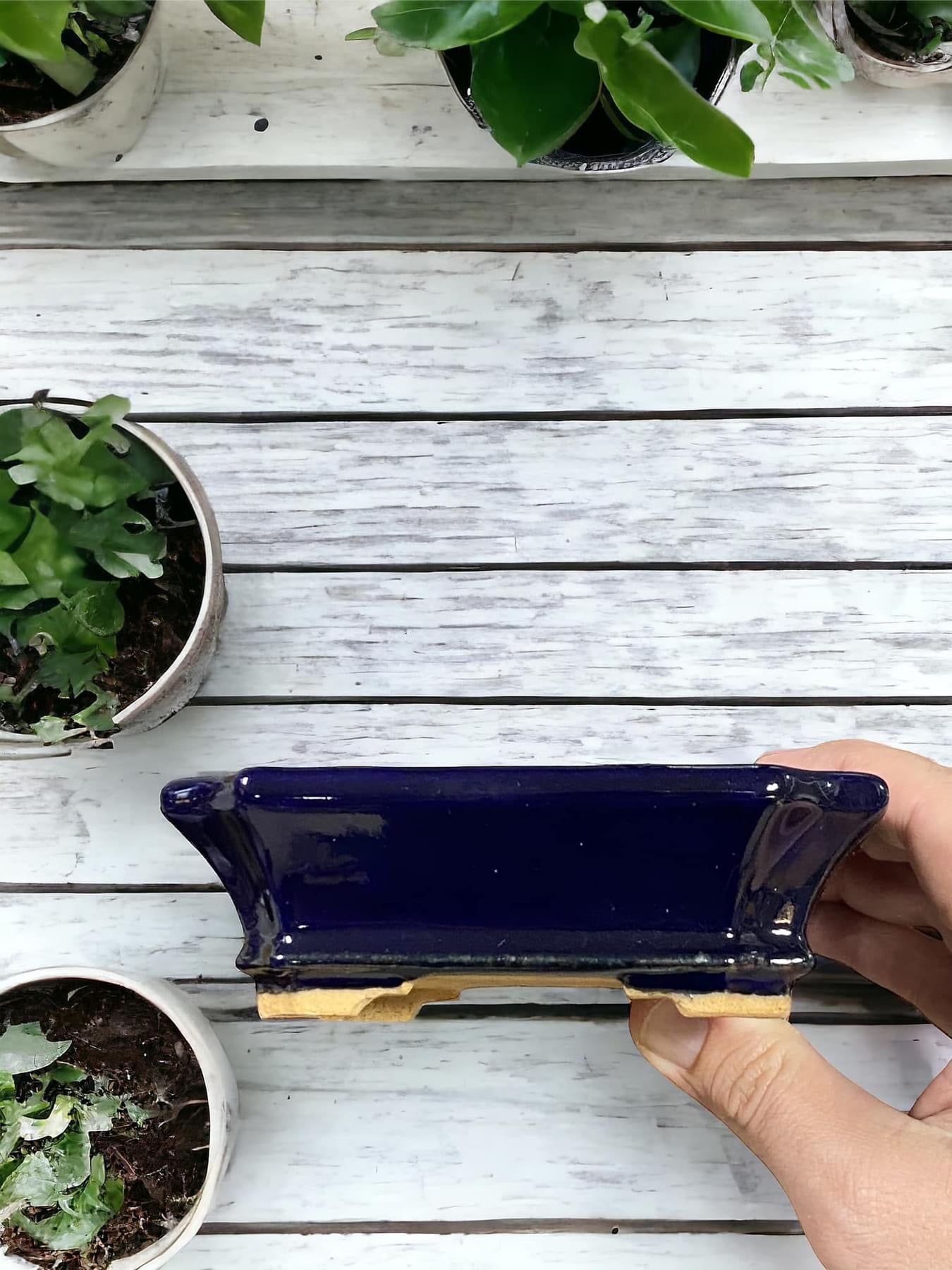 Hattori - Ruri Blue Glazed Mokko Bonsai Pot (5-1/2" wide)