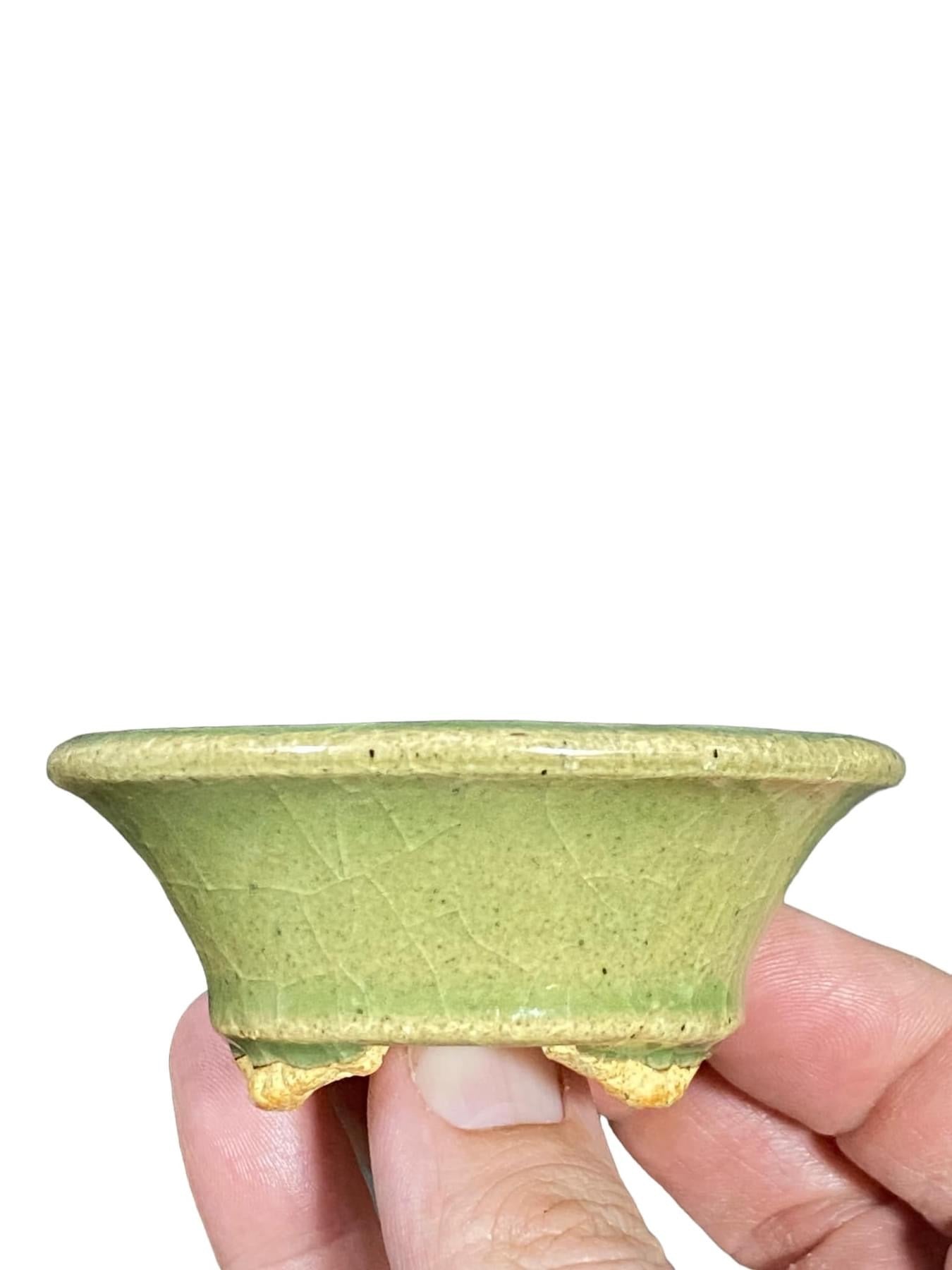 Hattori - Stellar Glazed Mane Bonsai Pot (3-1/4” wide)