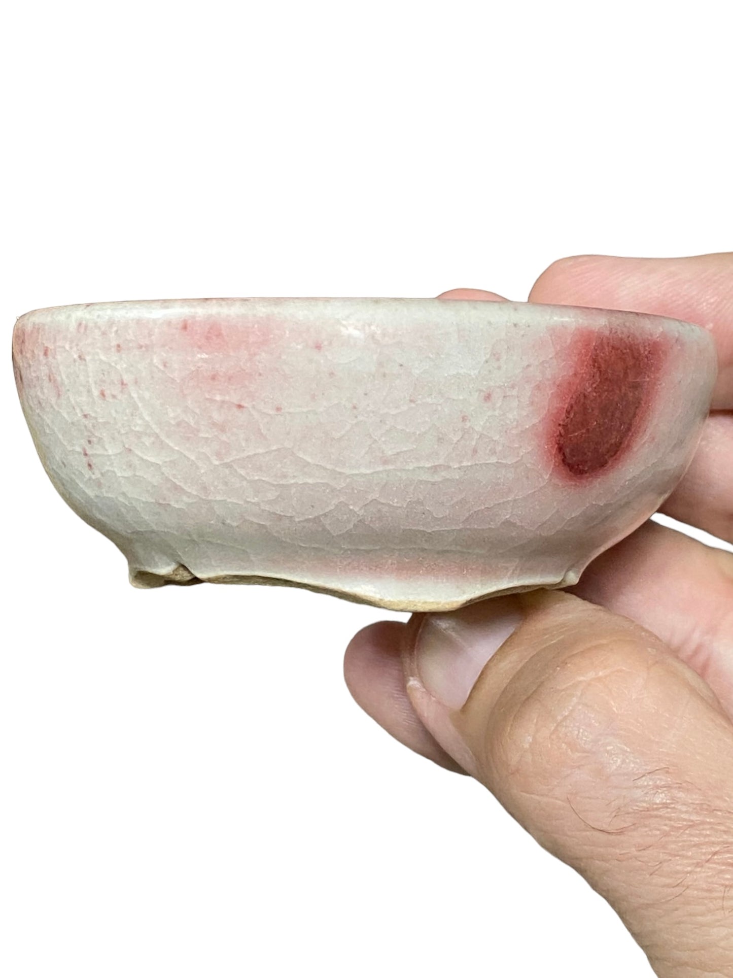 Isso - Glazed Bowl Bonsai or Accent Pot (3-1/16" wide)
