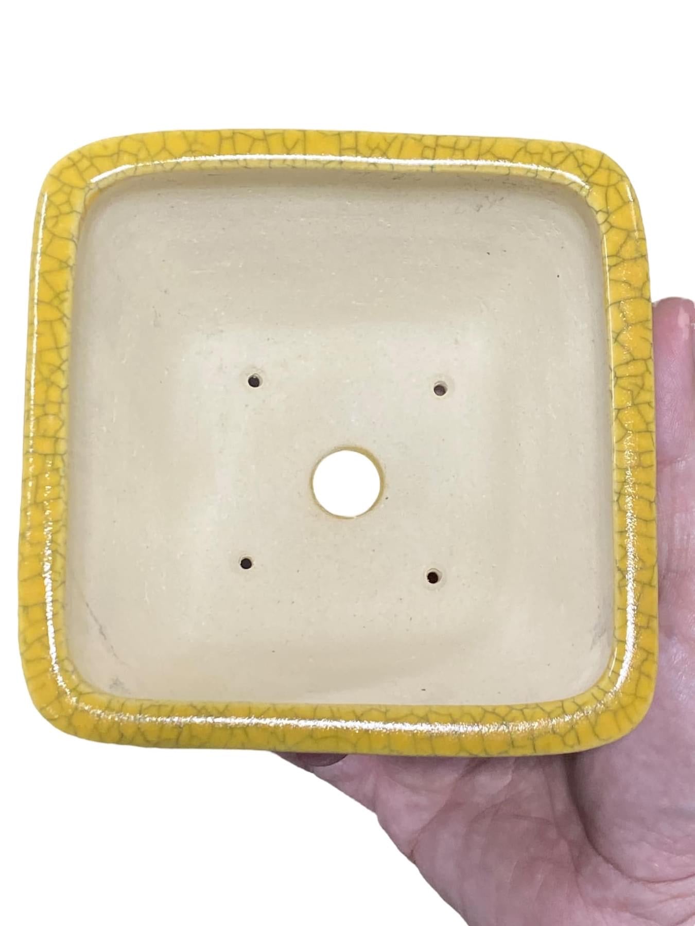 Koyo - Rare Yellow Crackle Glazed Bonsai Pot (5-1/4" wide)