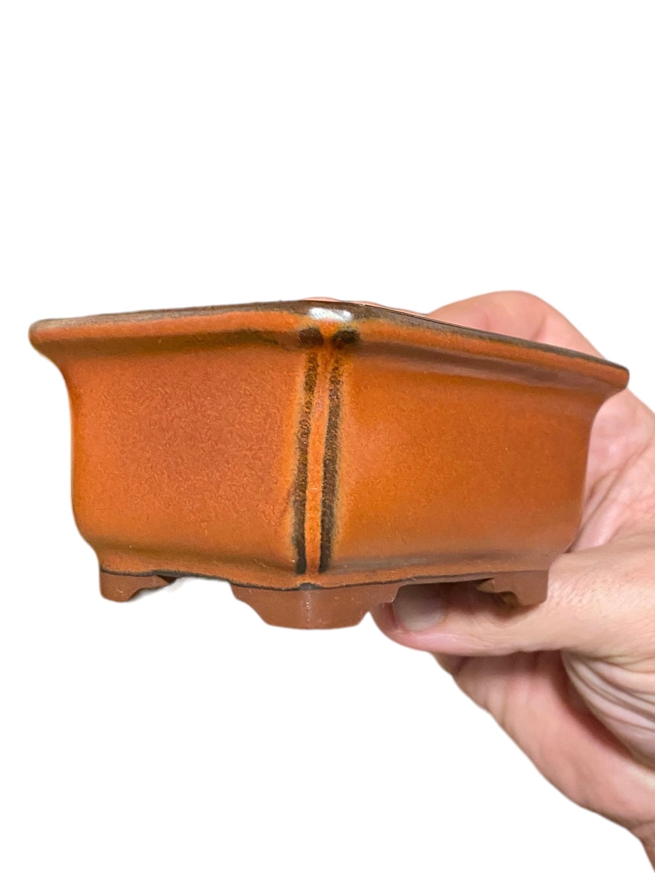 Bunzan - Glazed Rectangle Bonsai or Accent Pot