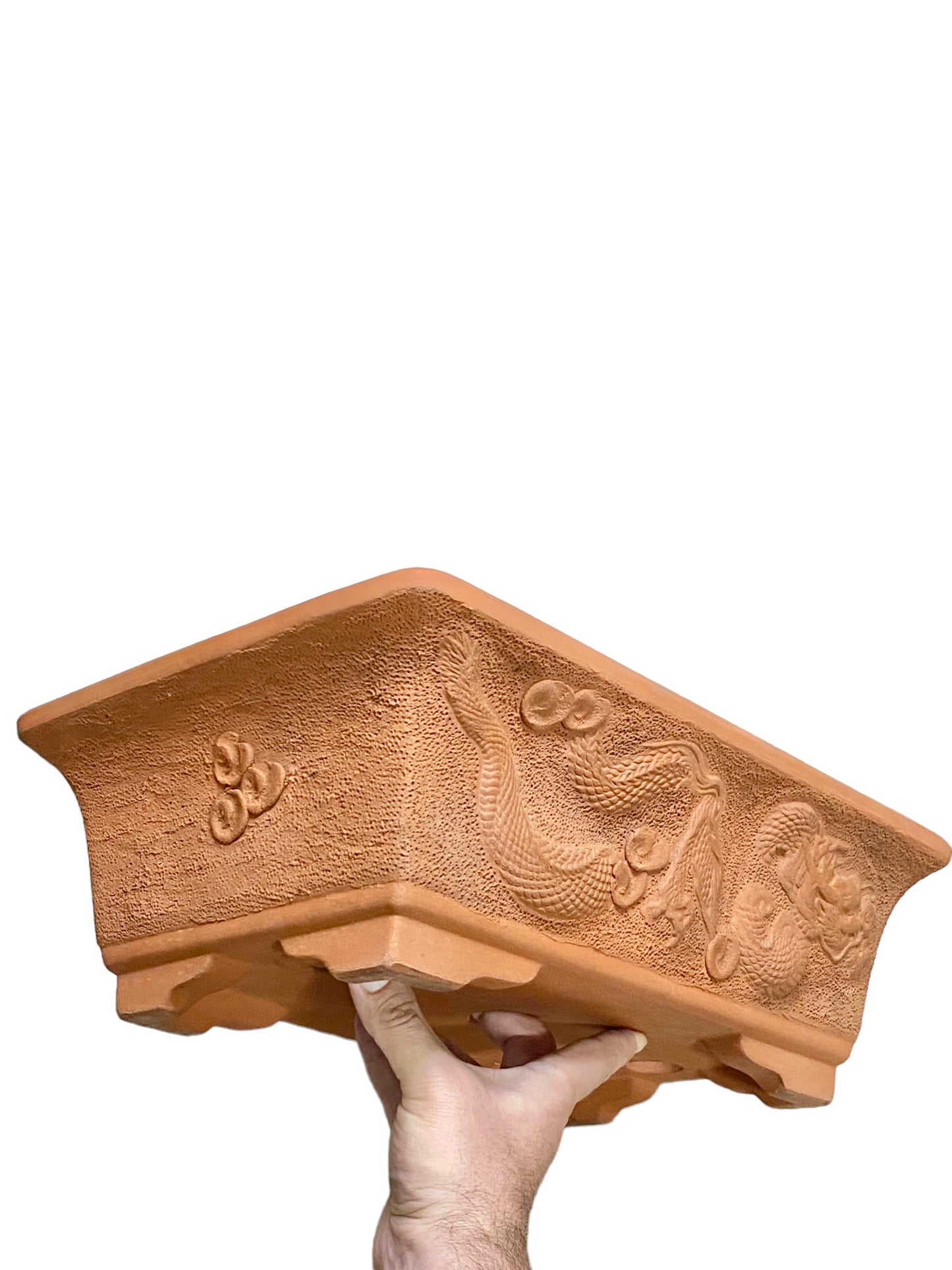 Zenigo - Large Carved Dragons Rectangle Bonsai Pot (17” wide)
