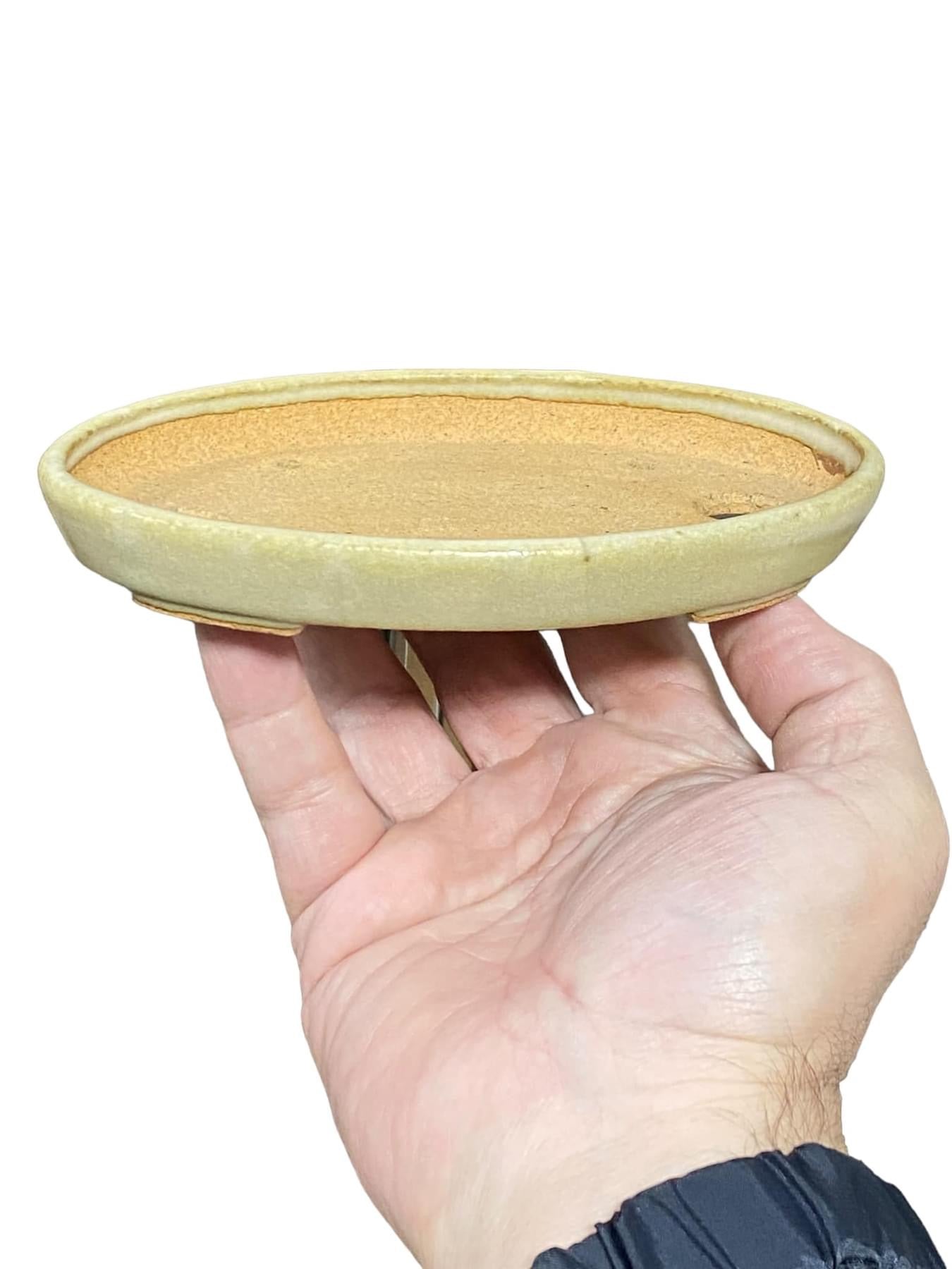 Hattori - Old Shallow Oval Bonsai Pot (Rare) (6-1/8" wide)