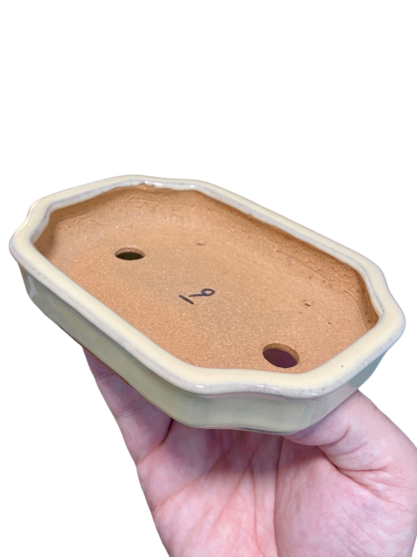 Ikko - Cream Glazed Mokko Style Bonsai or Accent Pot (5-7/8” wide)