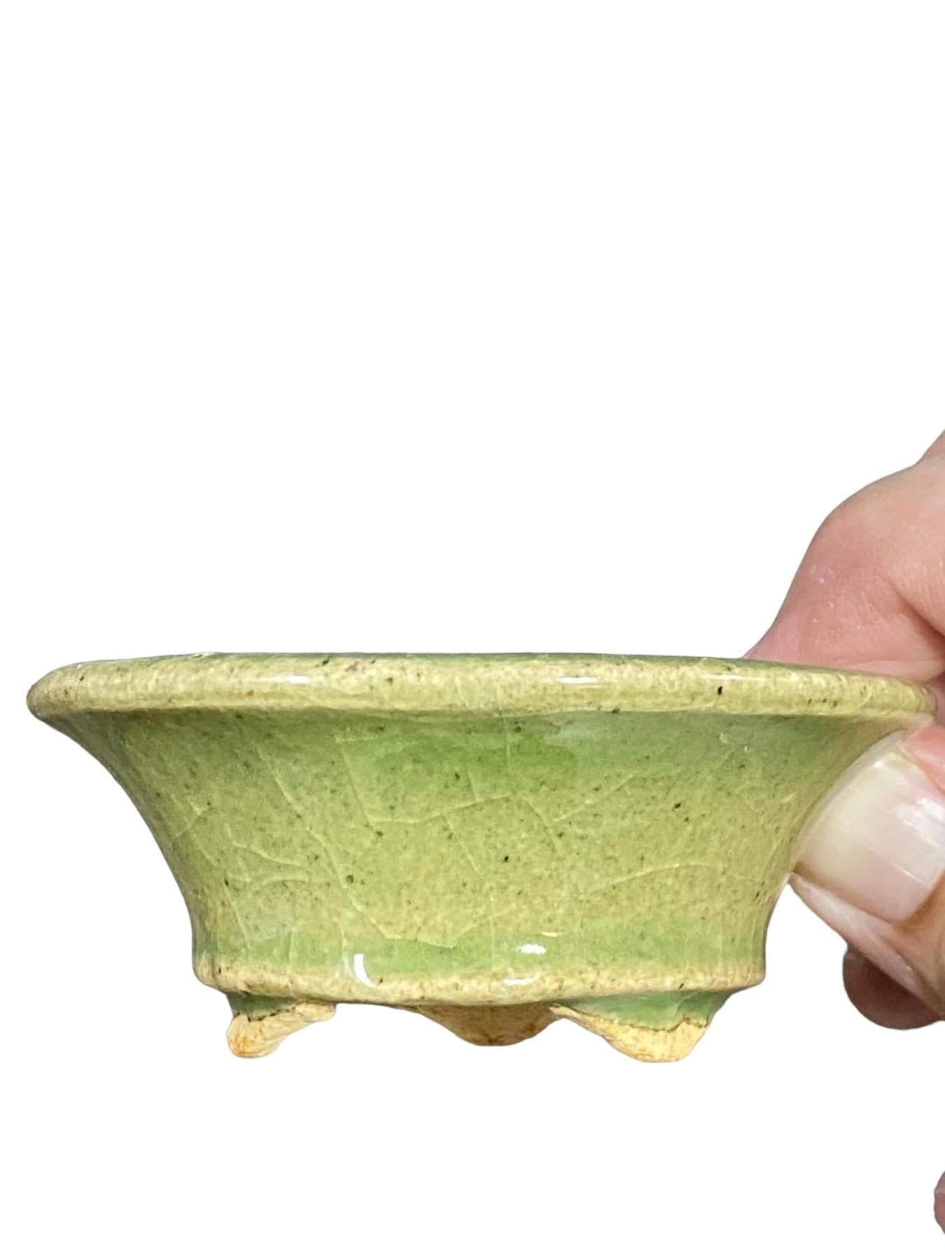 Hattori - Stellar Glazed Mane Bonsai Pot (3-1/4” wide)