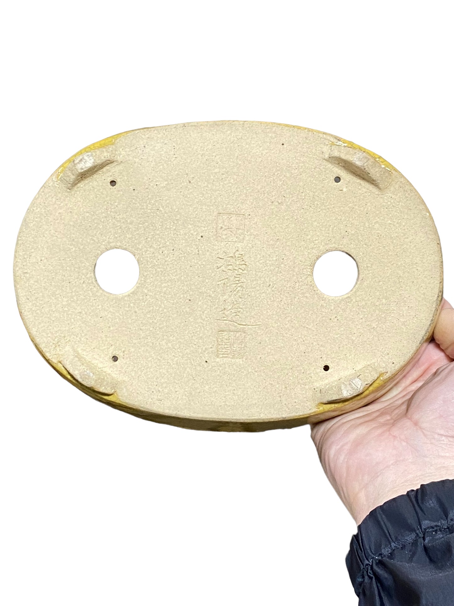 Koyo - Rare Yellow Crackle Glazed Oval Bonsai Pot (8-3/4" wide)