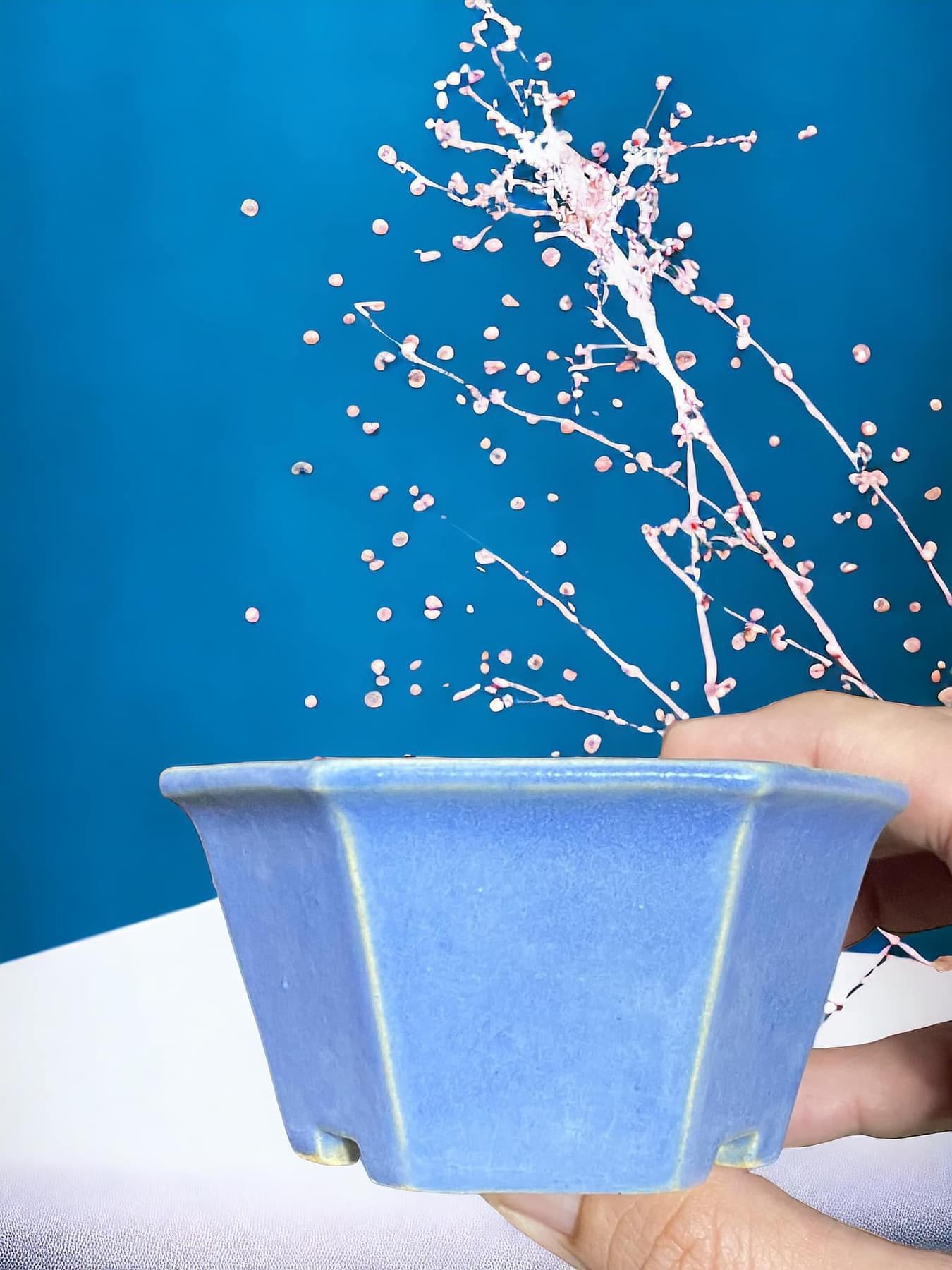 Ikegami - Light Blue Glazed Hexagon Bonsai Pot (3-3/8" wide)