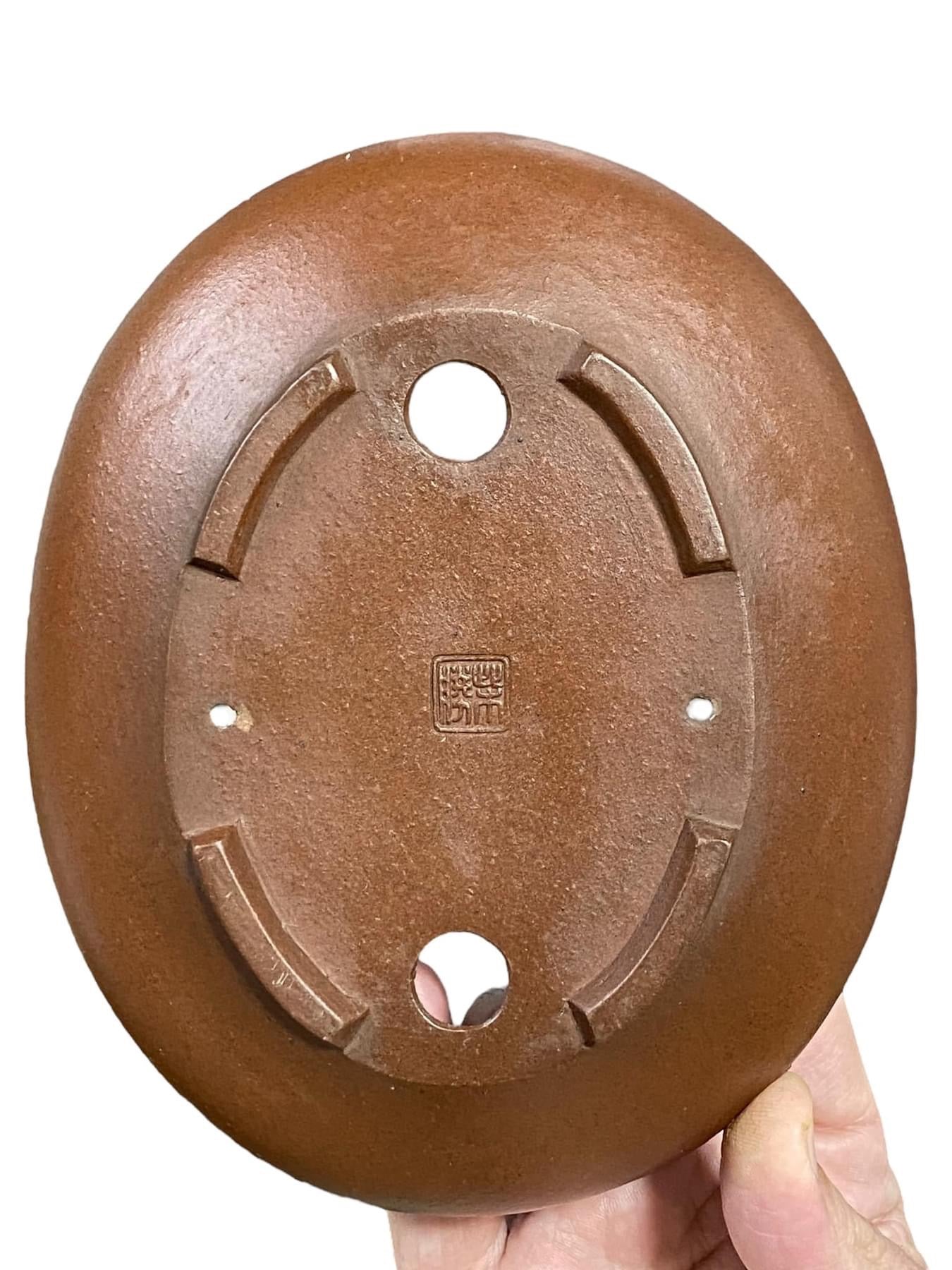 Shibakatsu - Unglazed Oval Style Bonsai Pot (Discounted) (7" wide)