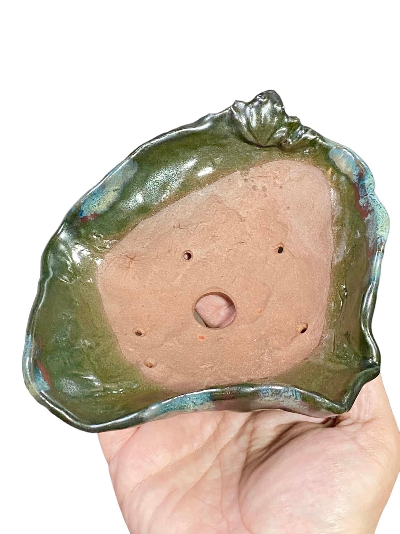 Masashi - Frog on a Floppy Bowl Bonsai or Accent Pot