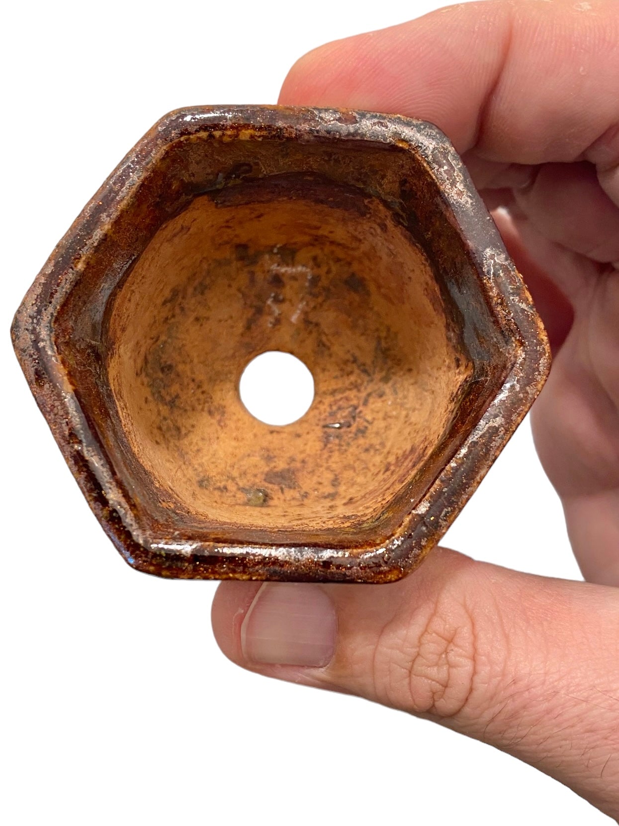 Shuho - Rare Gold Glazed Style Bonsai or Accent Pot