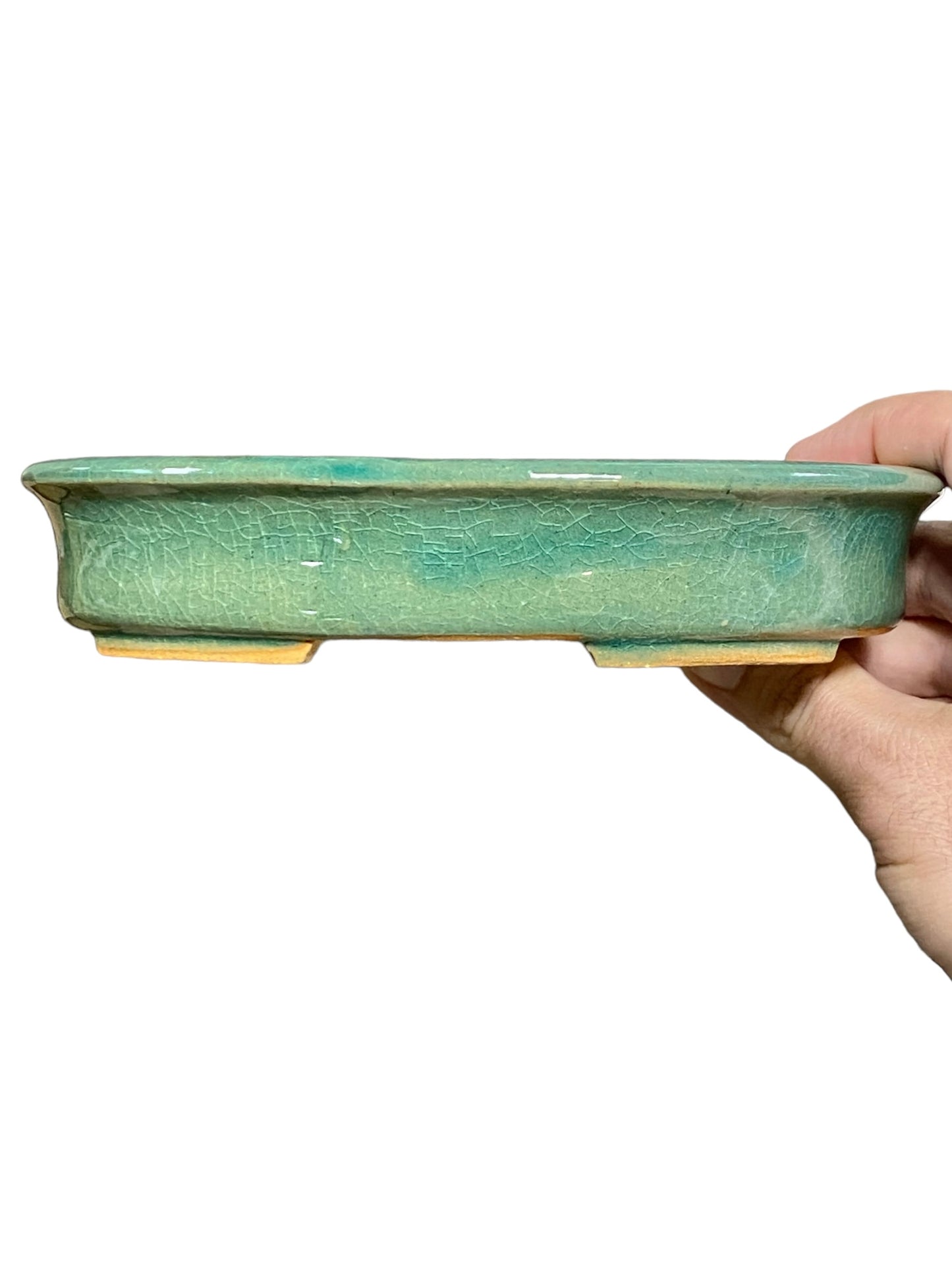 Shibakatsu - Stellar Crackle Glazed Oval Style Bonsai Pot (7-11/16" wide)