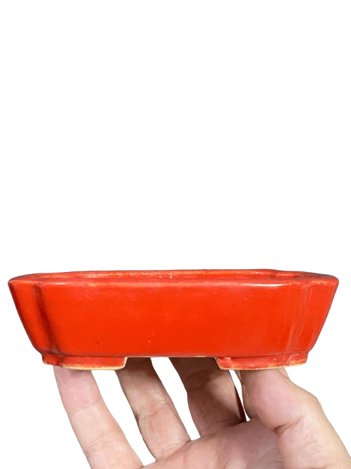 Koyo - Bright Red/Orange Bonsai Pot with Patina (5-9/16” wide)