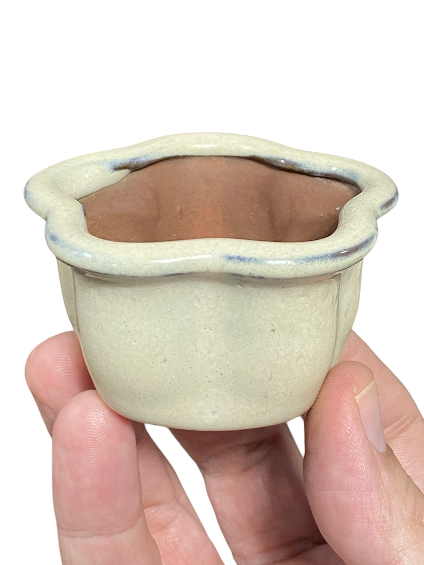 Mame / Tiny Bonsai or Accent Pot (1" wide)