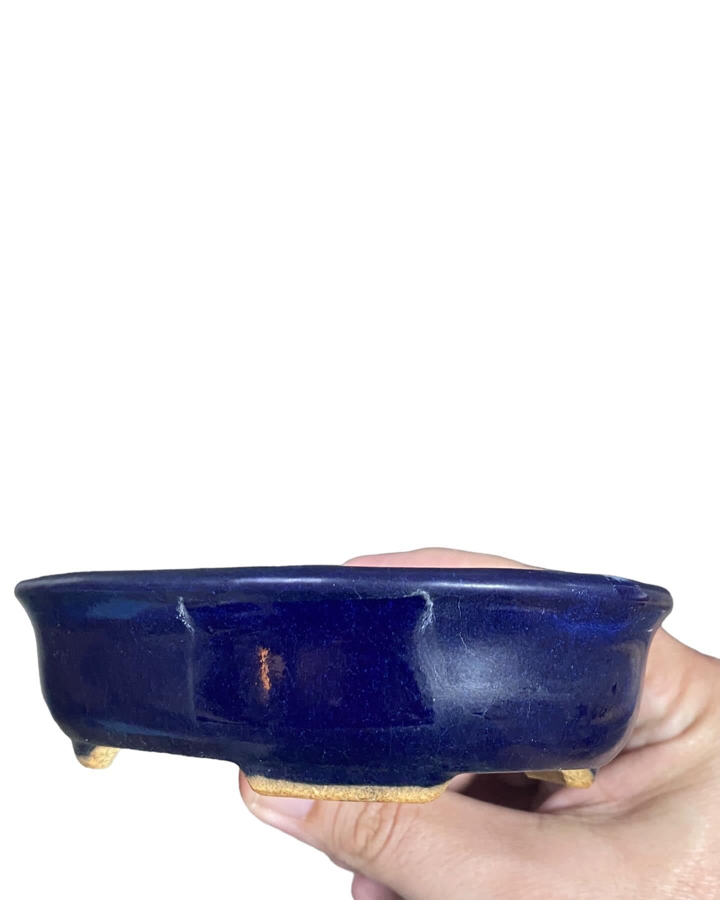 Hattori - Ruri Blue Glazed Oval Bonsai Pot (5-1/2” wide)