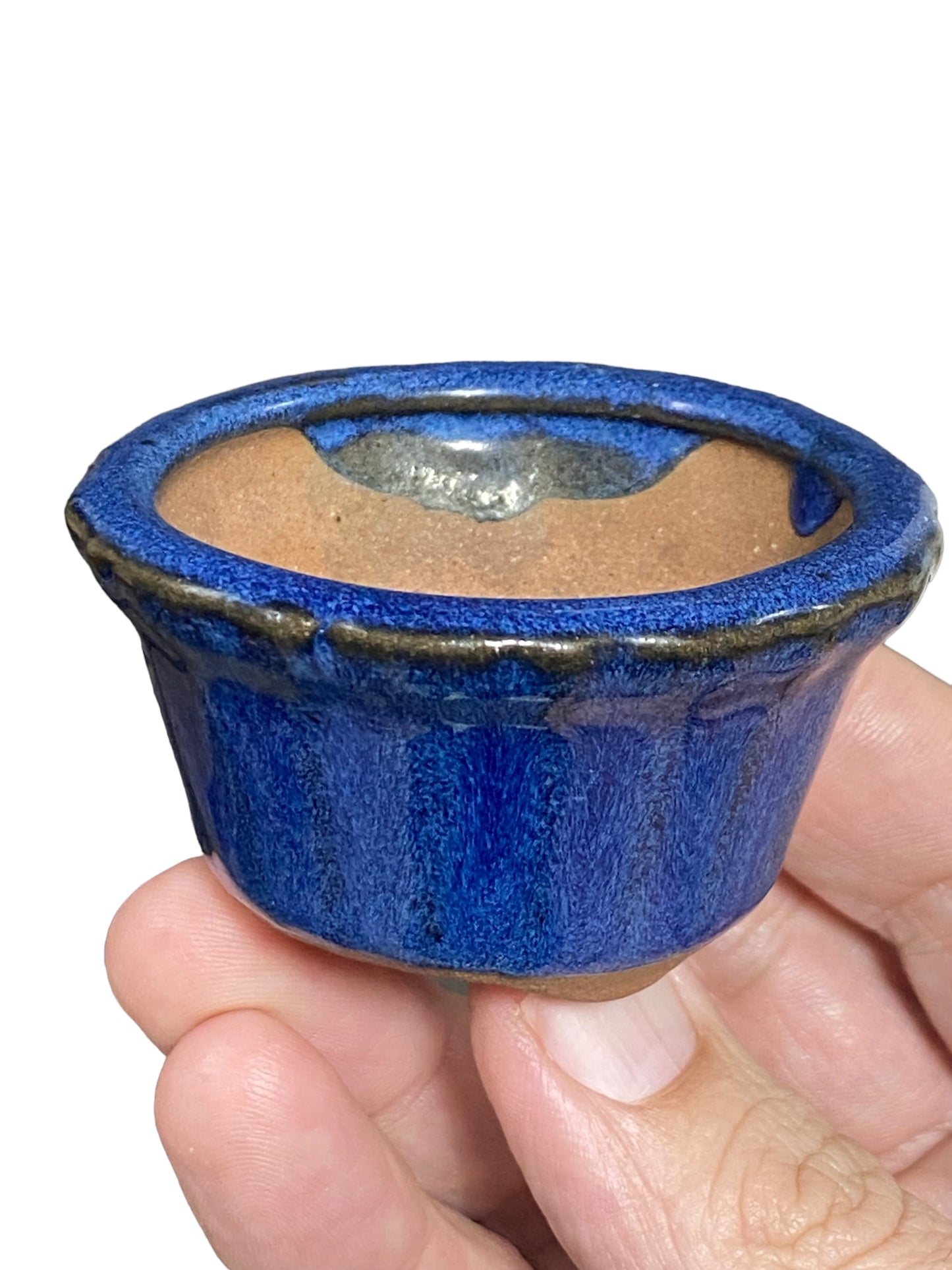 Mame / Tiny Bonsai or Accent Pot (1" wide)