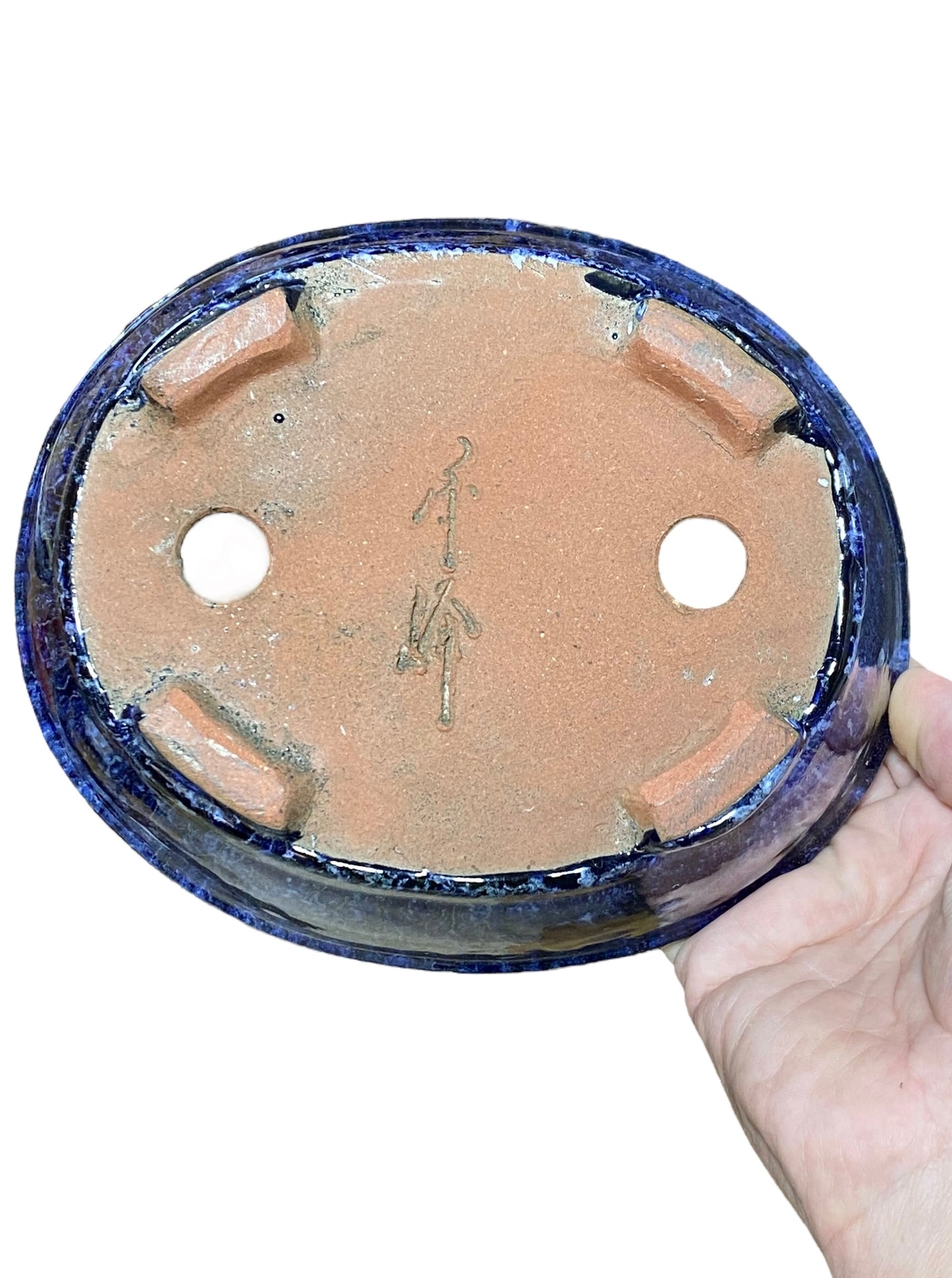 Shuho - Rich Blue Glazed Oval Shaped Bonsai (7-5/8" wide)