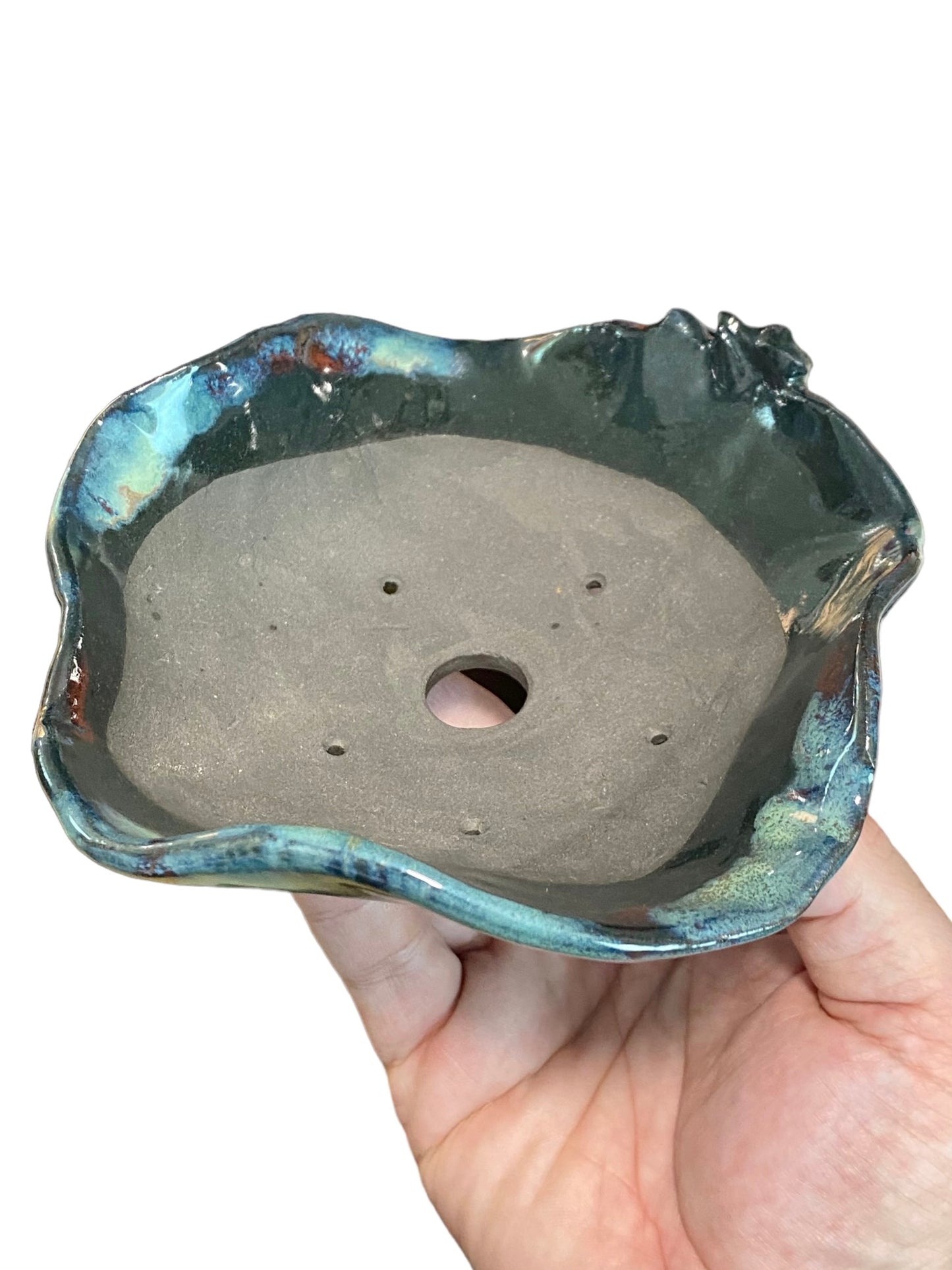 Masashi - Frog on a Glazed Bowl Bonsai or Accent Pot