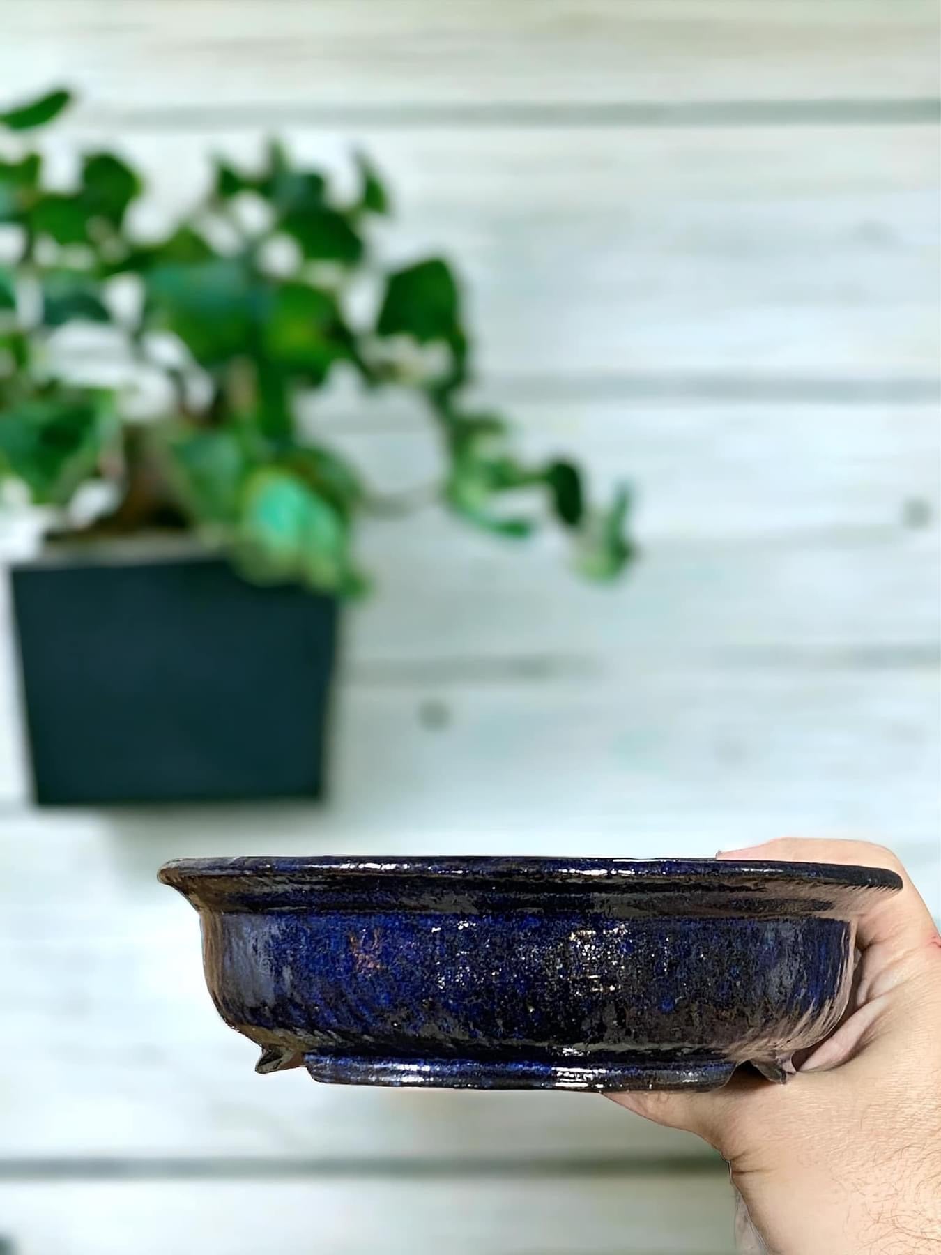 Shuho - Black and Blue Glazed Bowl Style Bonsai Pot (8-1/8" wide)