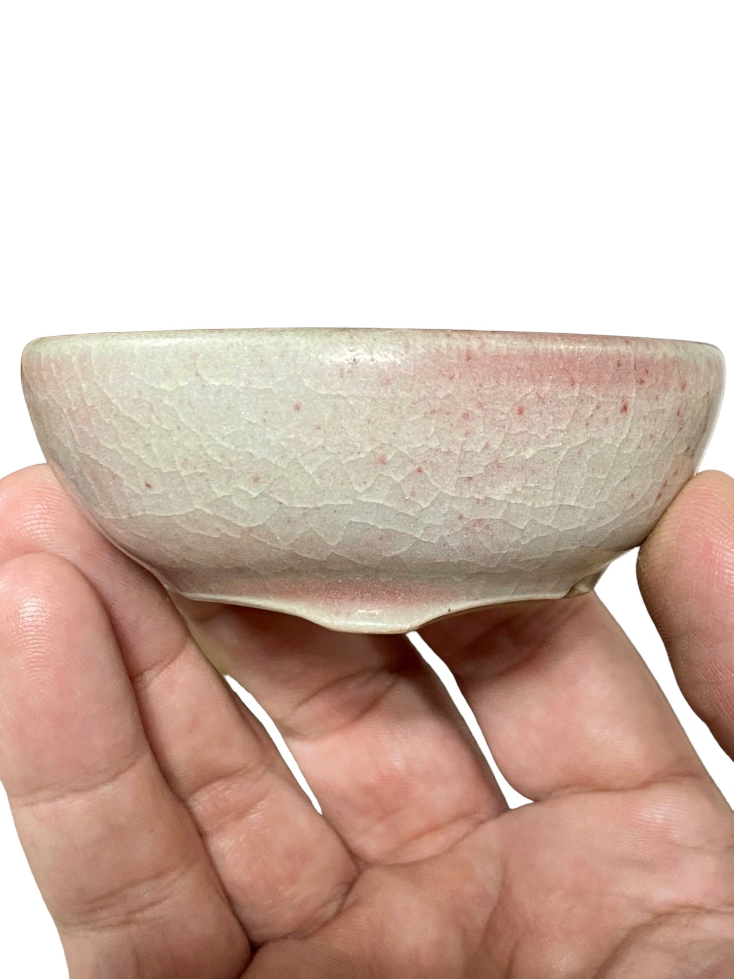 Isso - Glazed Bowl Bonsai or Accent Pot (3-1/16" wide)