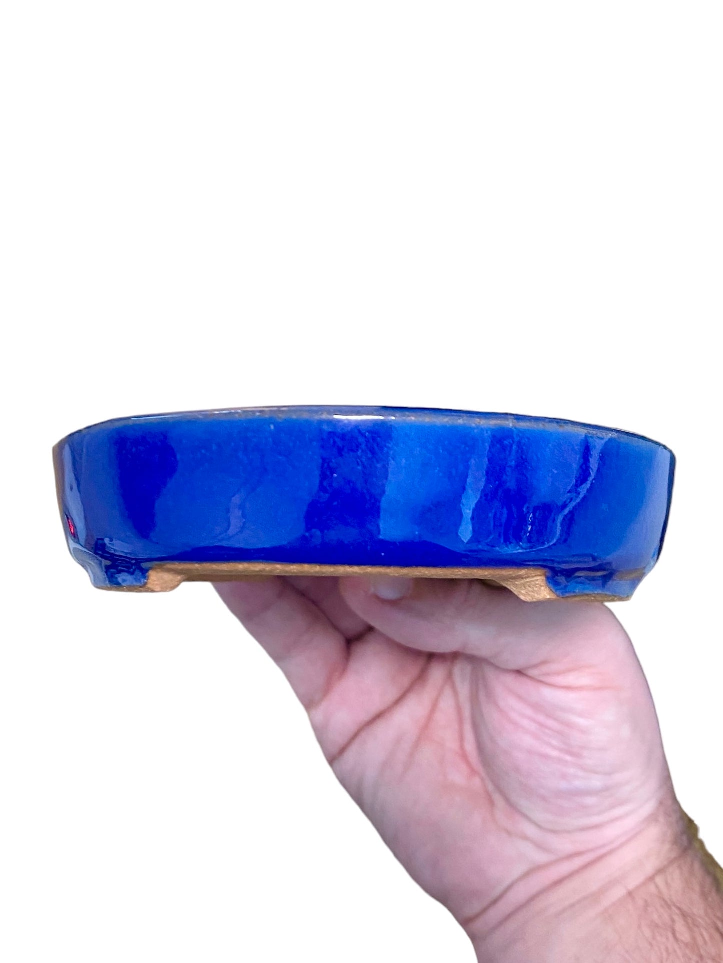 Ikko - Royal Blue Glazed Oval Bonsai or Accent Pot (6-7/8” wide)