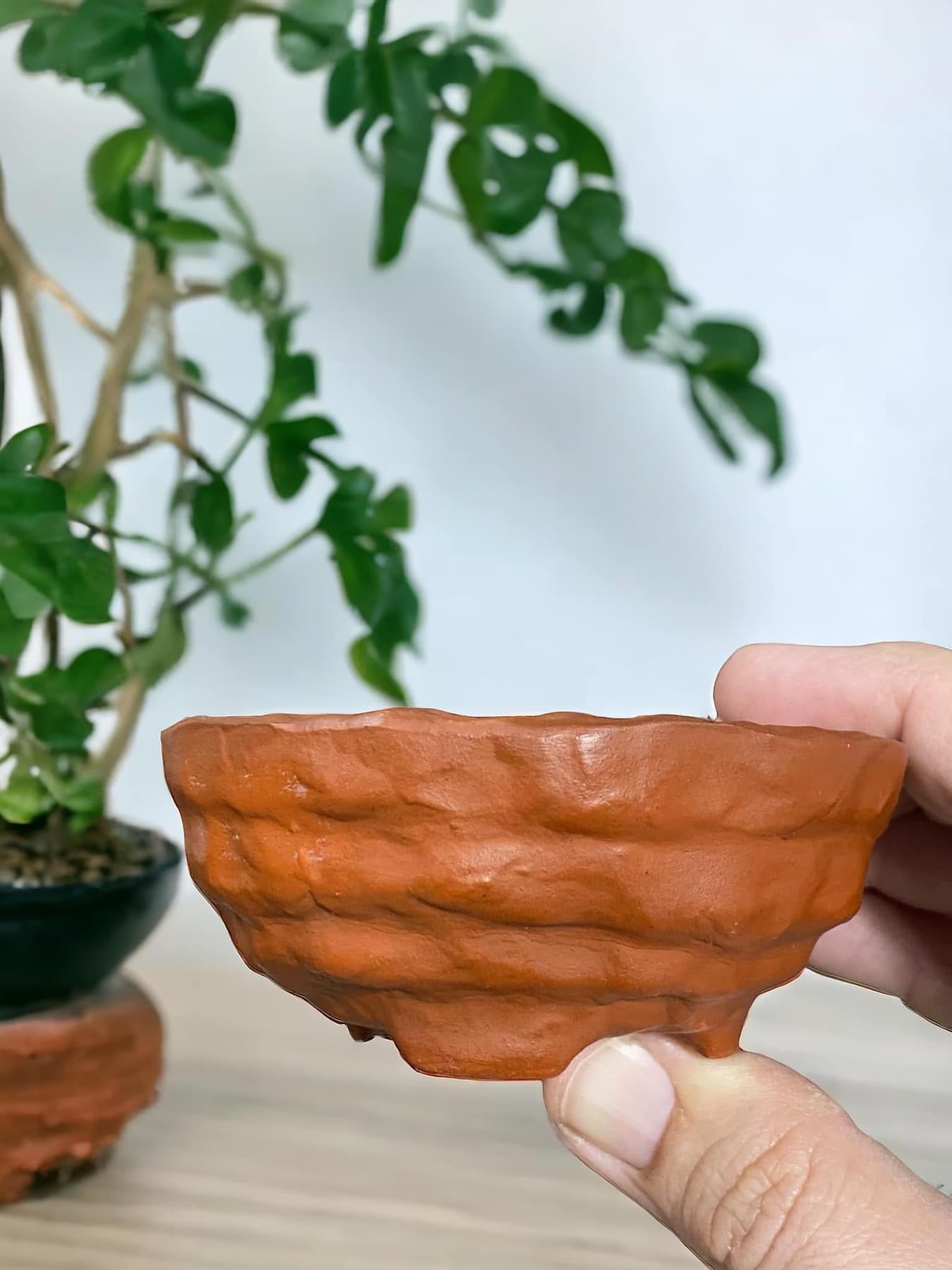 Syueto - Rare Handmade Rectangle Bonsai or Accent Pot (3-5/16" wide)