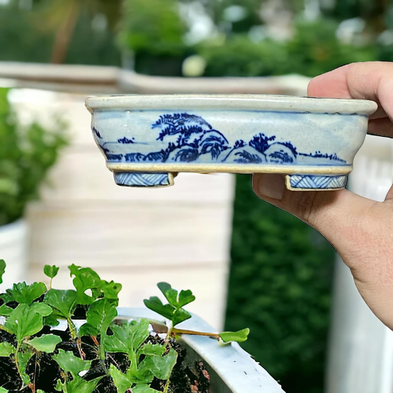 Vintage Chinese - Rare Hand Painted Scenic Bonsai Pot (5" wide)