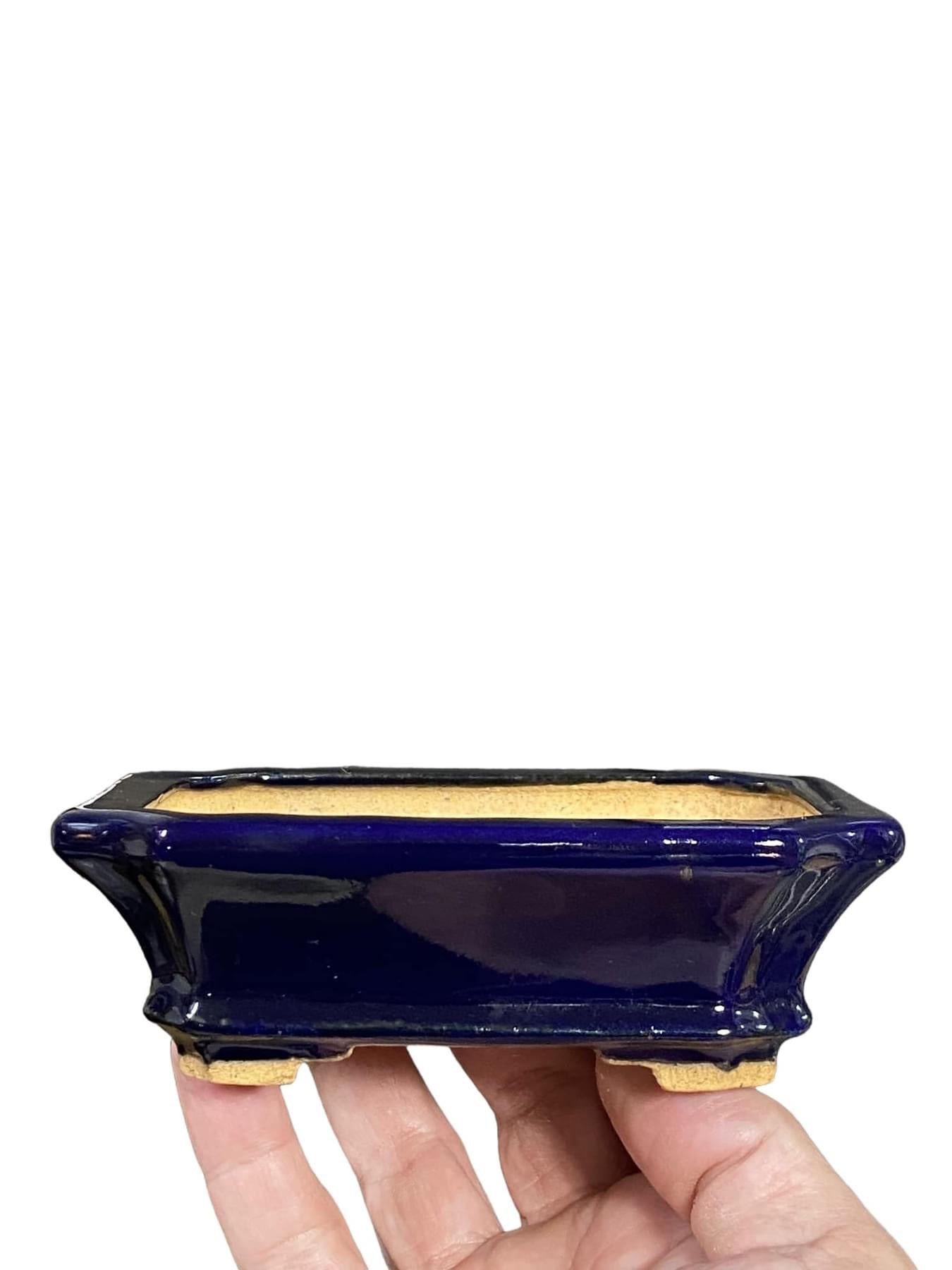Hattori - Ruri Blue Glazed Mokko Bonsai Pot