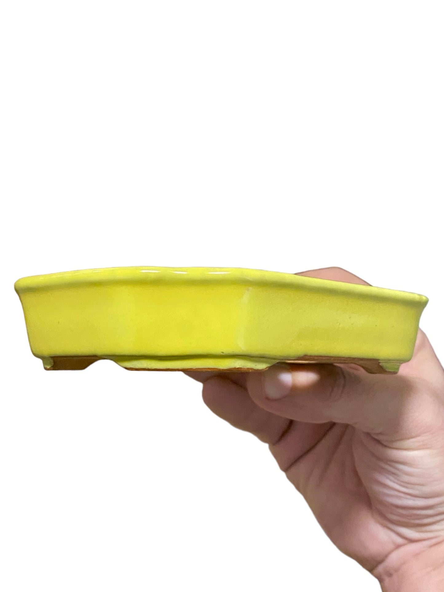 Ikko - Yellow Glazed Mokko Style Bonsai or Accent Pot (5-7/8” wide)
