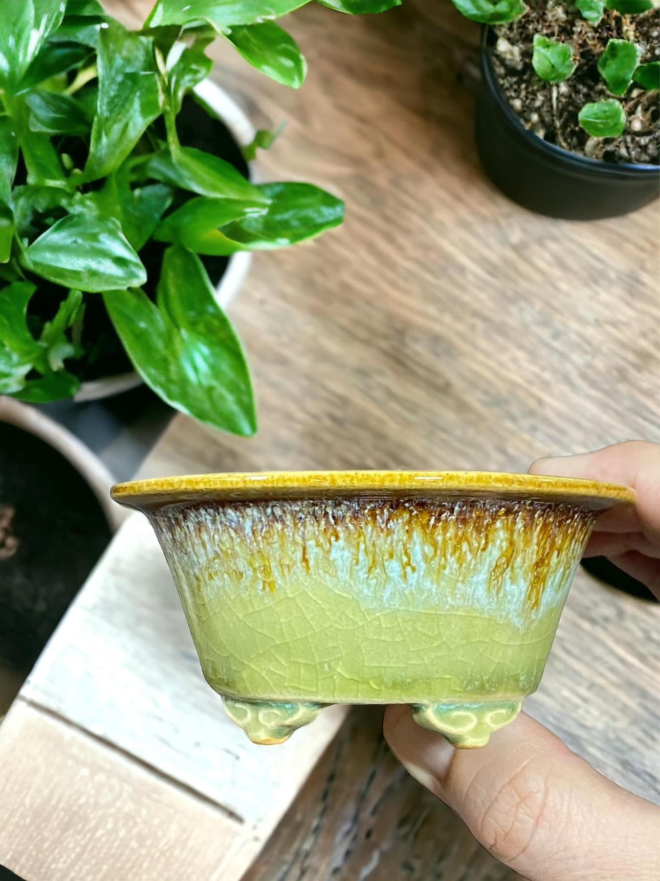 Kiyoshi Kiowai “Fuka” - Stellar Glazed Bonsai Pot (3-13/16” wide)