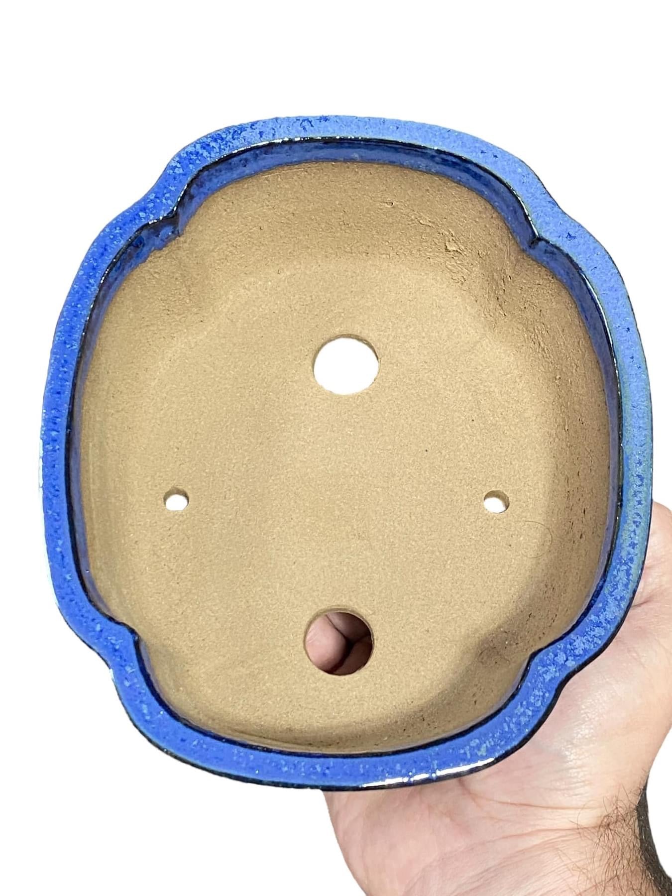 Shibakatsu - Lovely Namako Blue Glazed Bonsai Pot (7-5/16” wide)