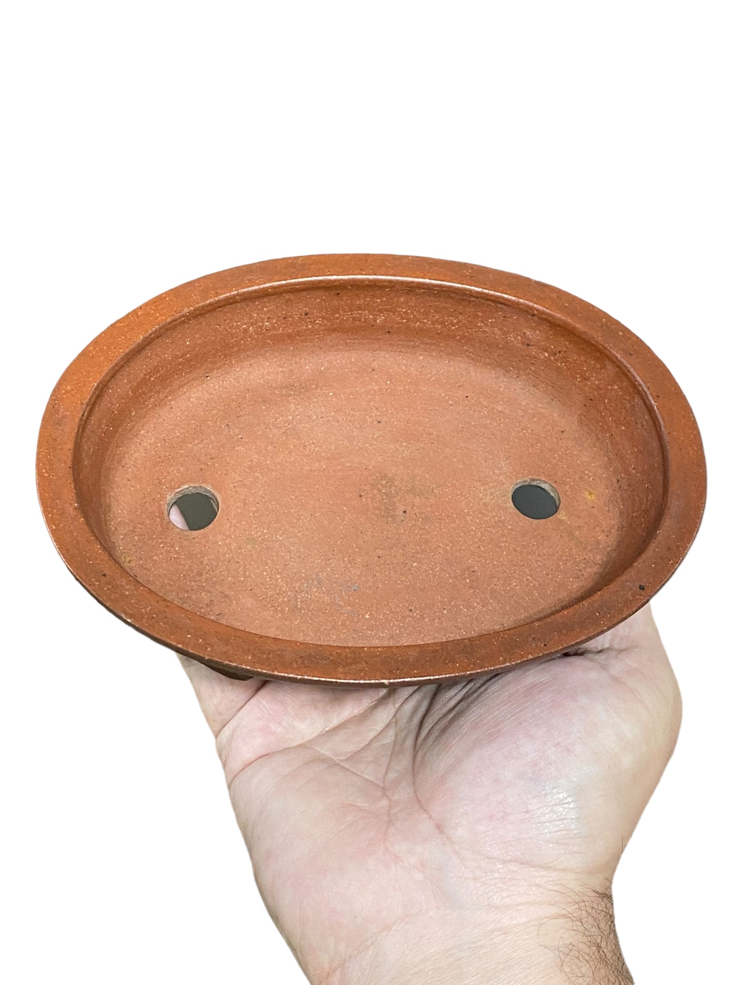 Ikko - Exhibition Quality Unglazed Oval Bonsai Pot (6-1/2” wide)