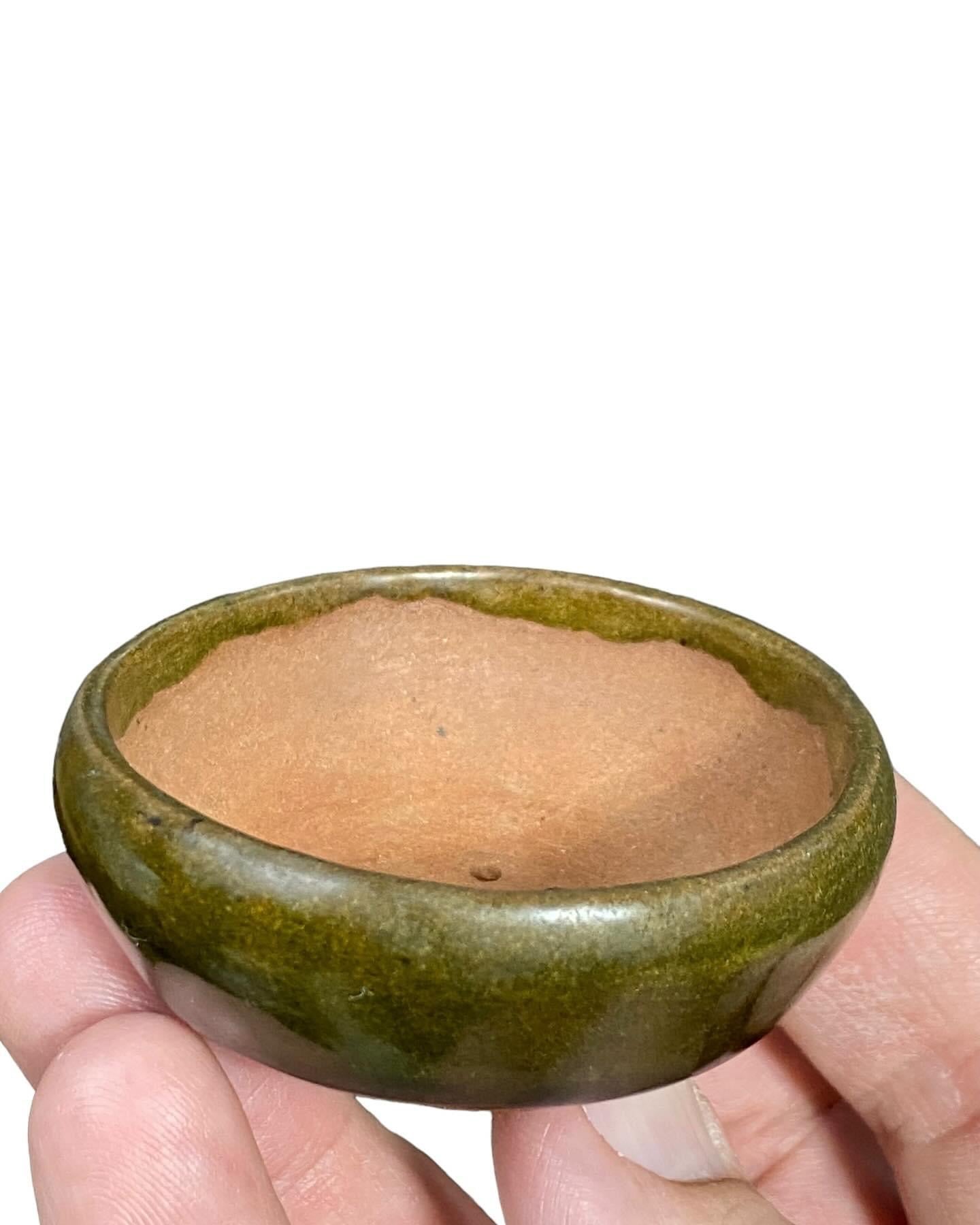 Hikari - Glazed Mame Round Bonsai Pot (2-5/16” wide)