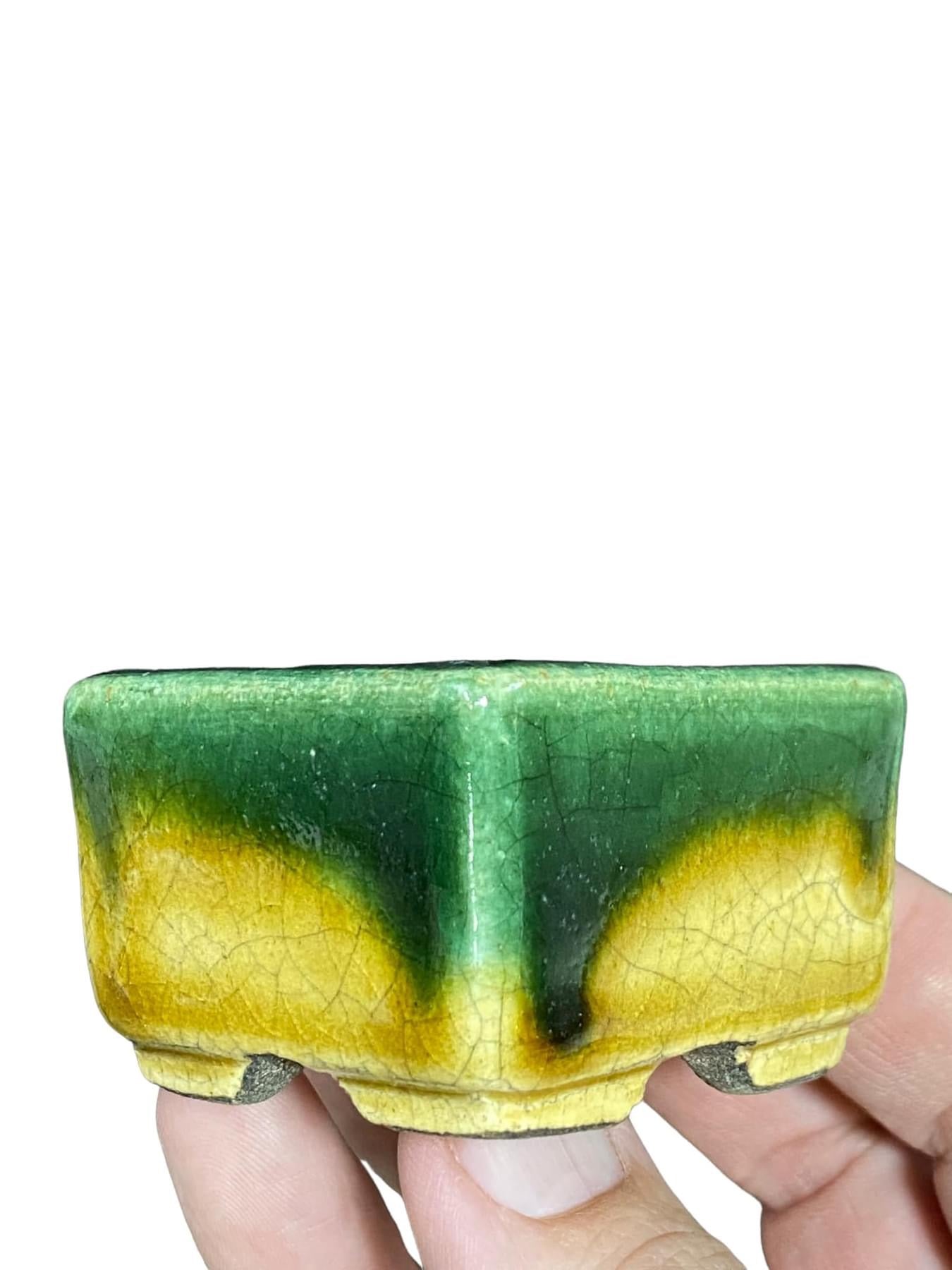 Satomi Terahata - Green and Yellow Glazed Bonsai or Accent Pot (2-5/32” wide)