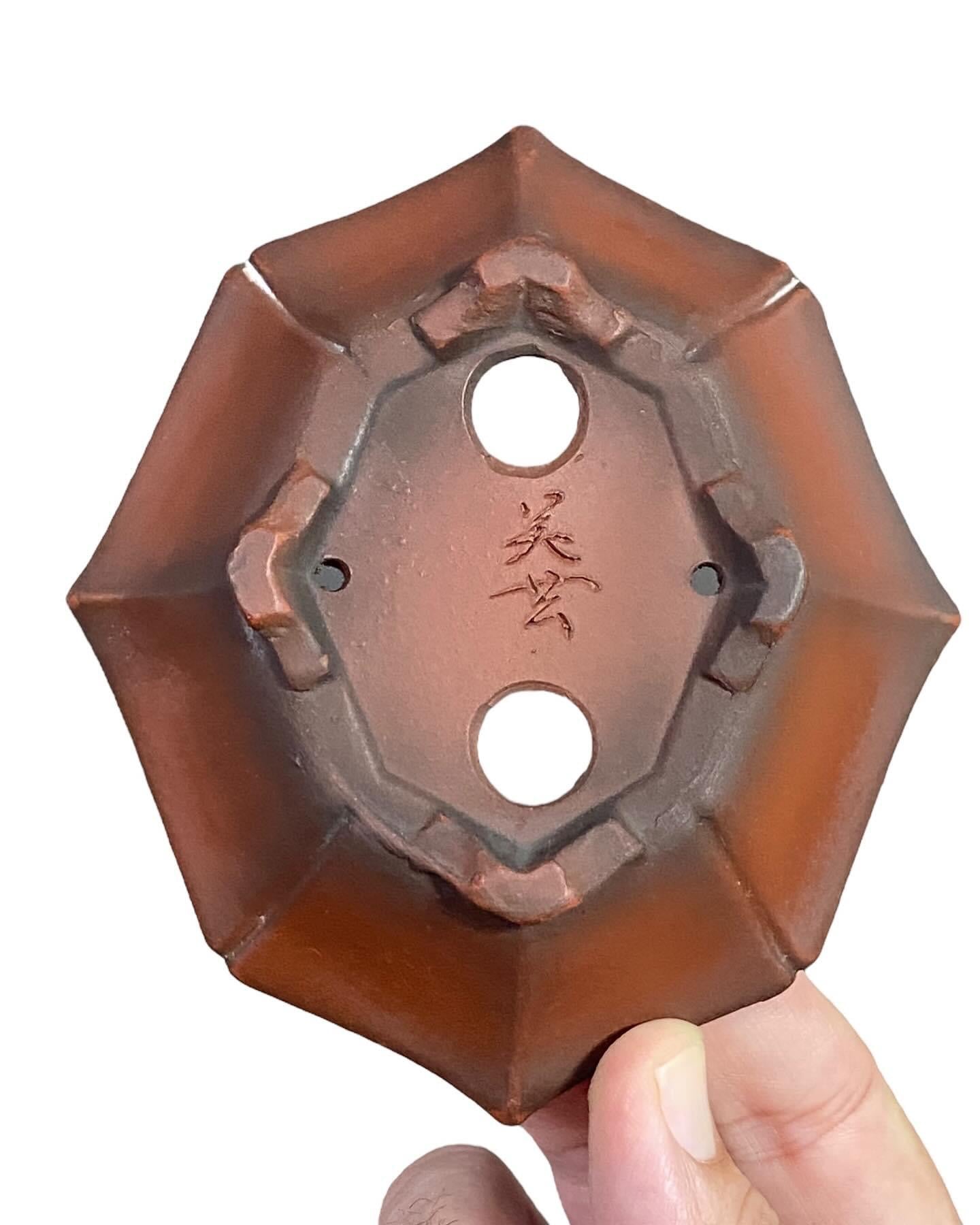 Bigei - Shohin Octagon Style Bonsai Pot (4-7/8” wide)