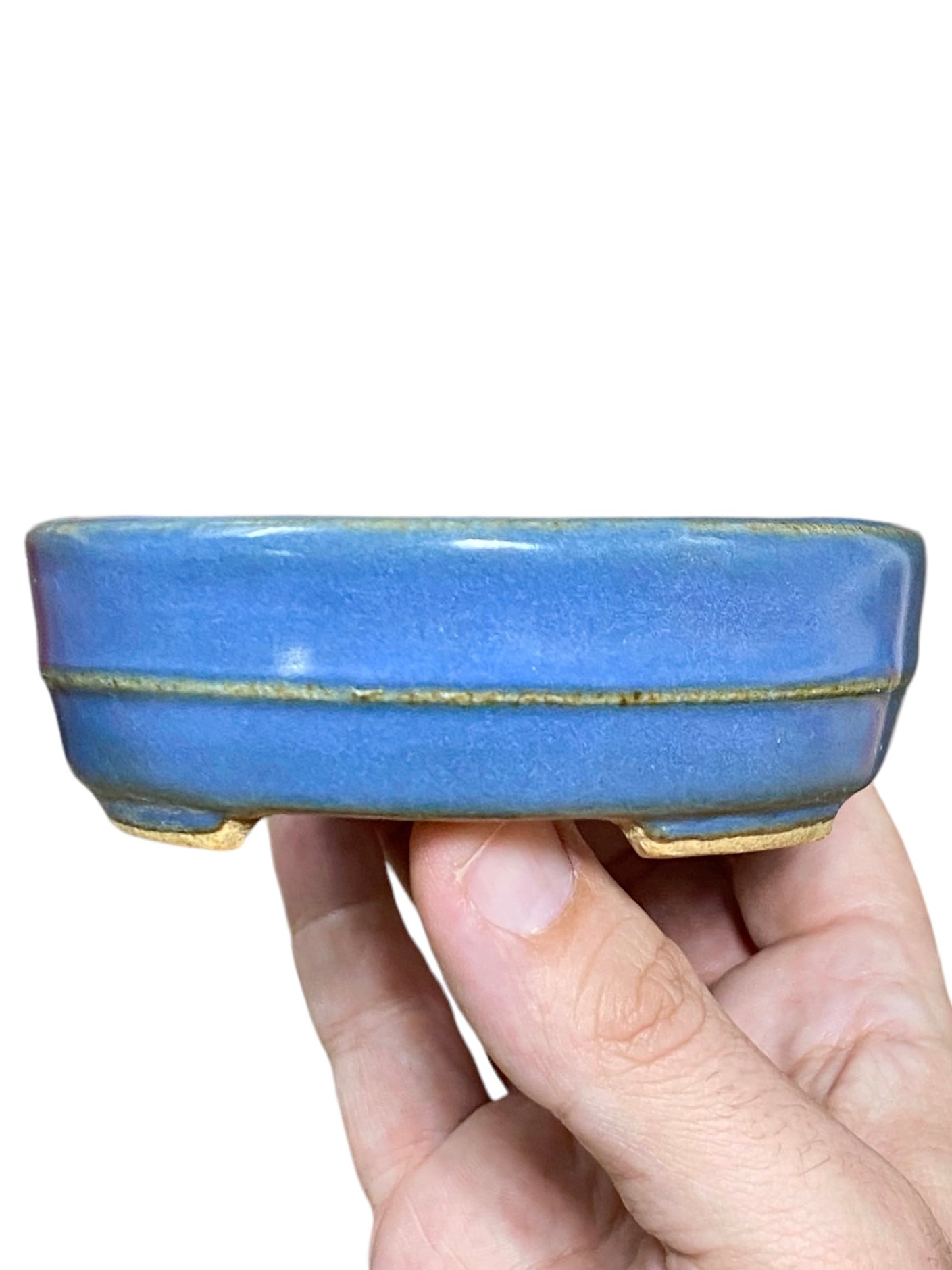 Hattori - Banded Blue Oval Bonsai Pot