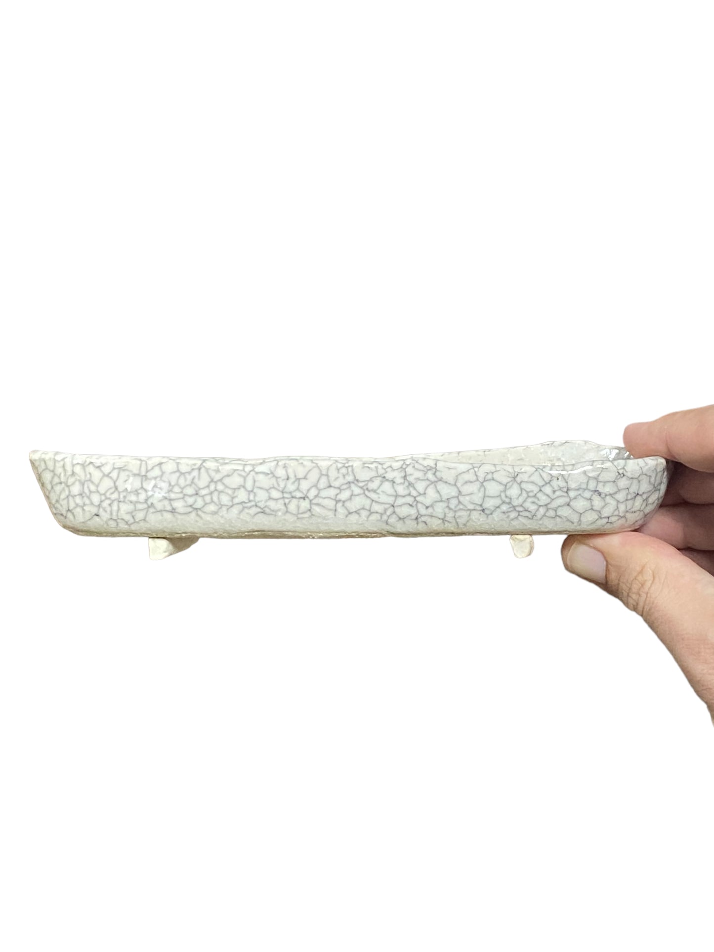 Shibakatsu - White Crackle Glazed Oval Style Bonsai Pot (8-1/8" wide)